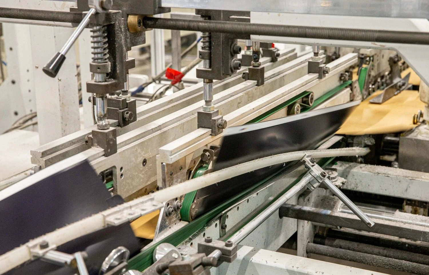 Juditos Grigelytės (VŽ) nuotr.