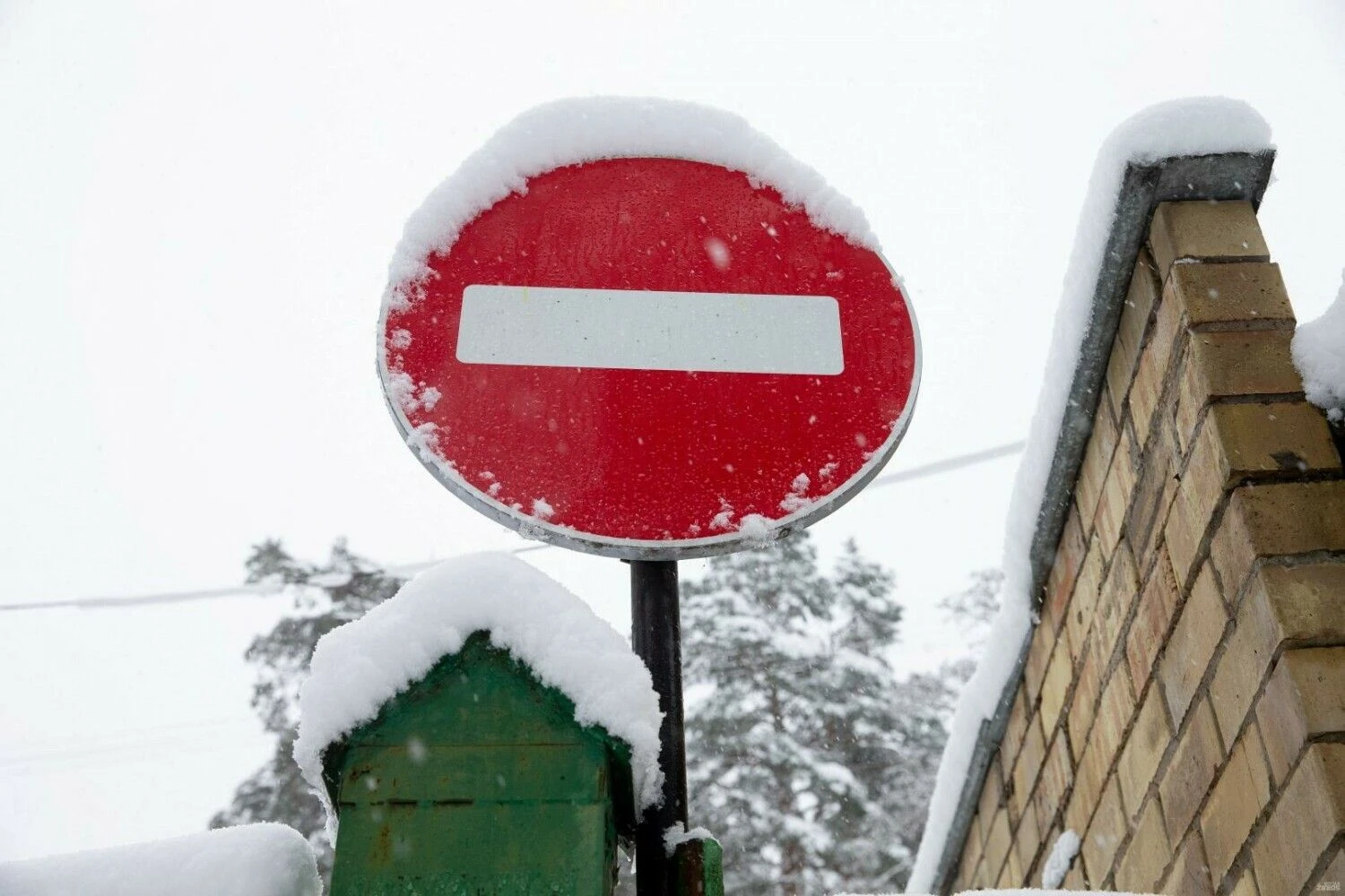 Juditos Grigelytės (VŽ) nuotr.