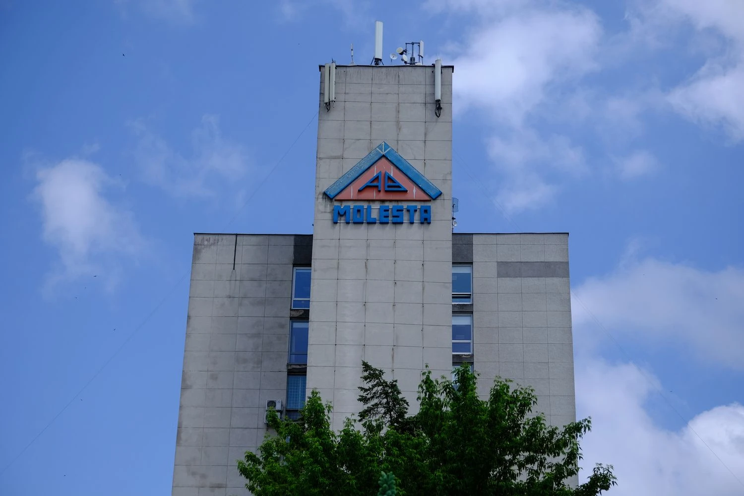 Molesta  logotipas. Vladimiro Ivanovo (VŽ) nuotr.