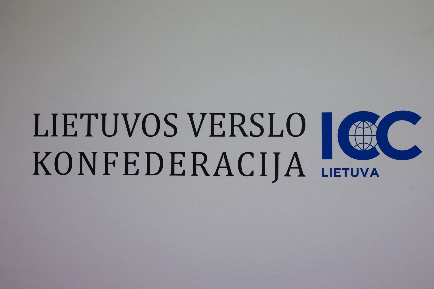 Vladimiro Ivanovo (VŽ) nuotr.