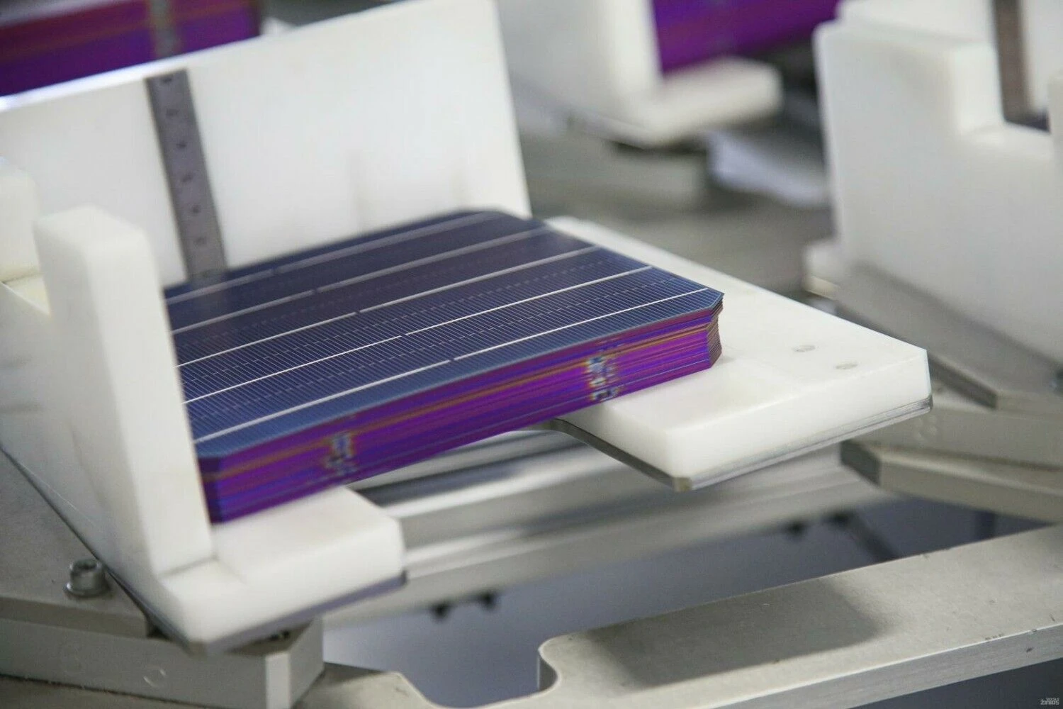 Vladimiro Ivanovo (VŽ) nuotr.