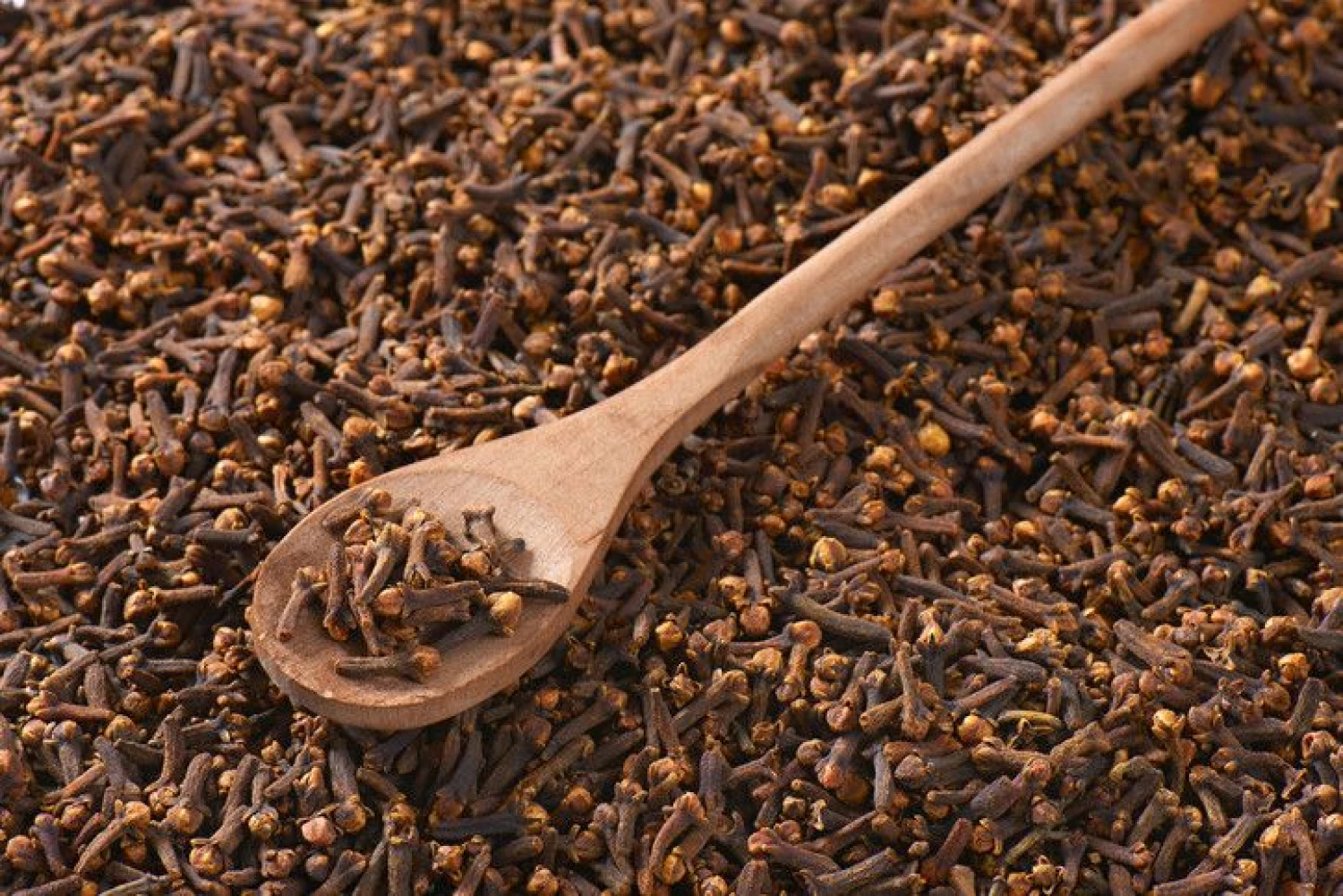 Gazdikėliai. „Matton“ nuotr.