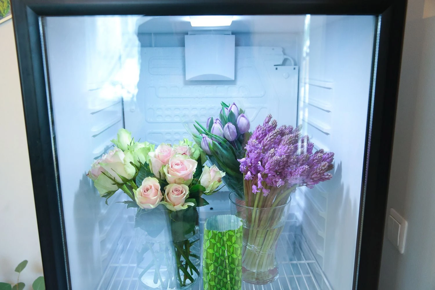 Vladimiro Ivanovo (VŽ) nuotr.