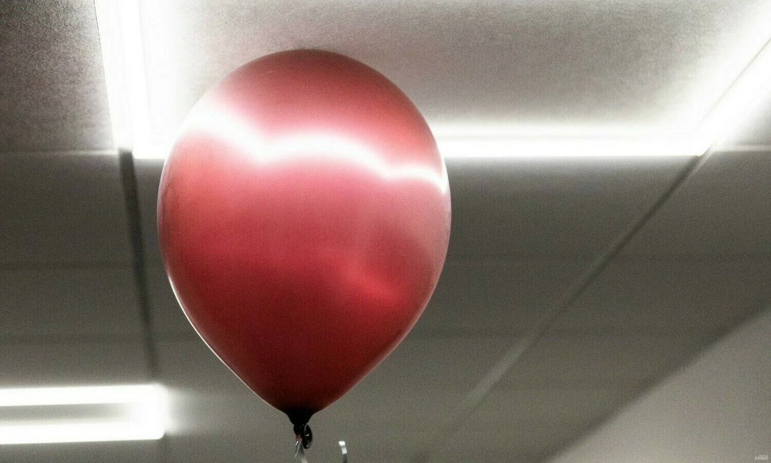 Vladimiro Ivanovo (VŽ) nuotr.