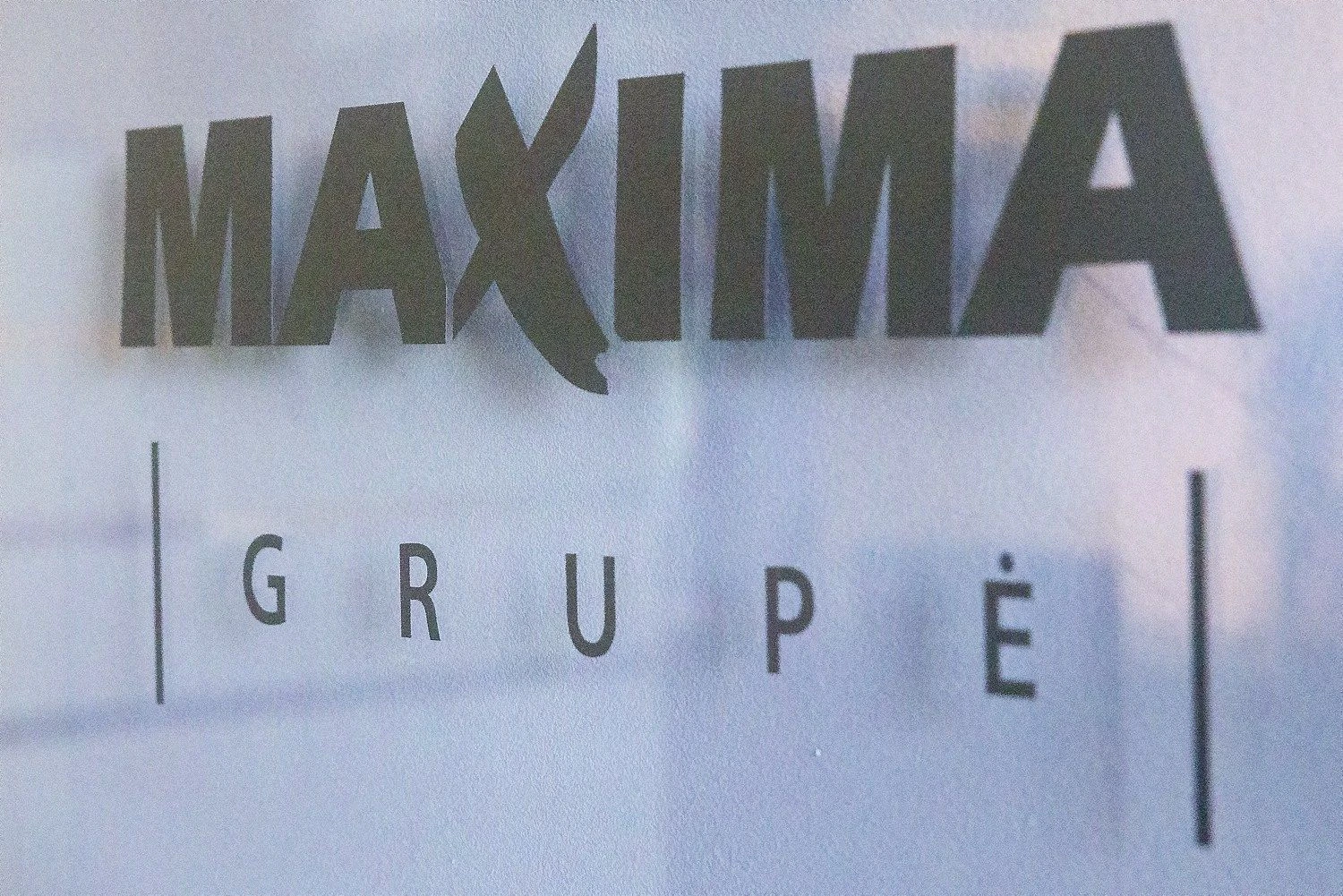 Vladimiro Ivanovo (VŽ) nuotr.