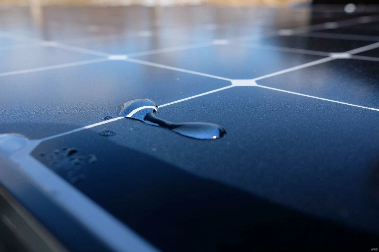 Vladimiro Ivanovo (VŽ) nuotr.