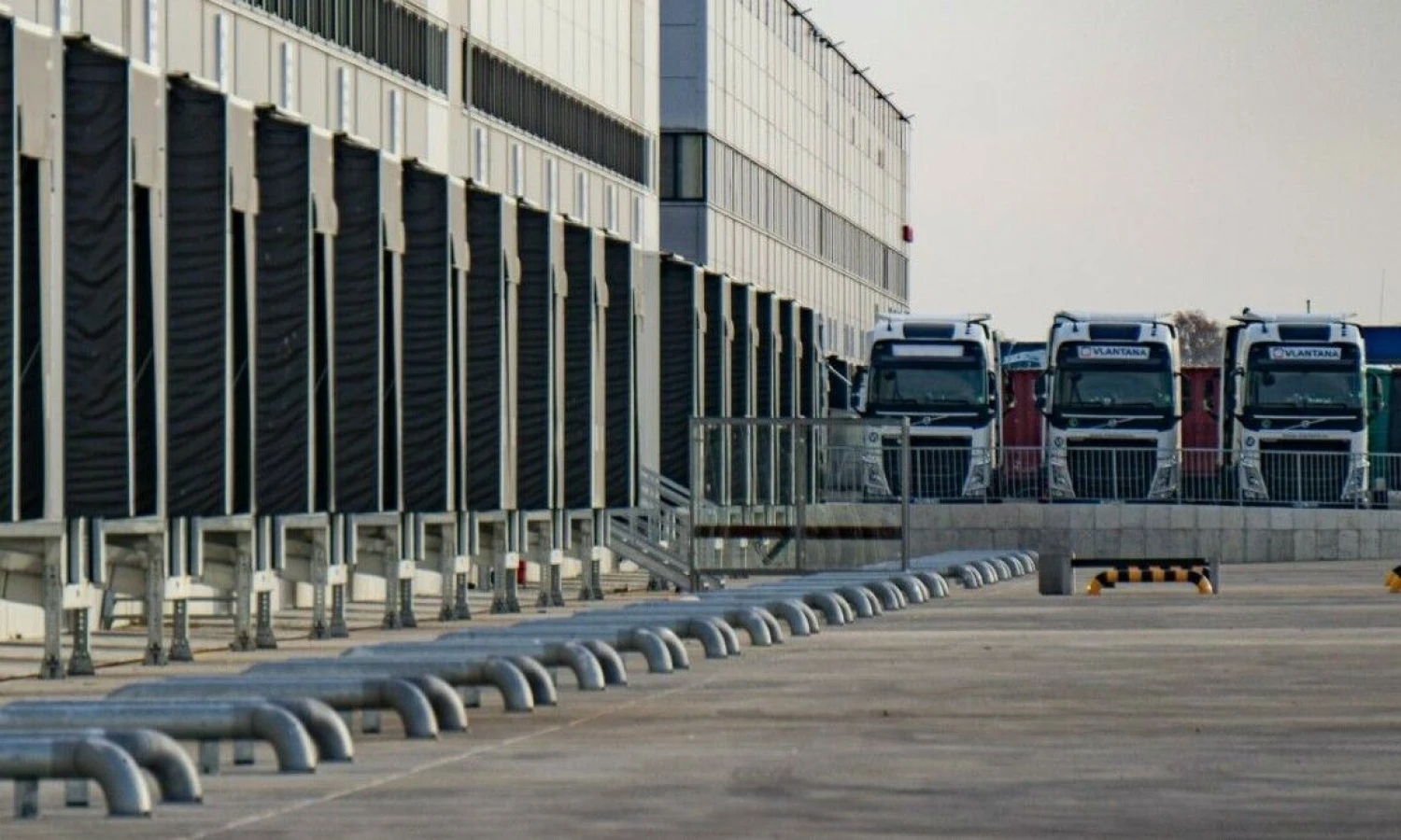 Algimanto Kalvaičio nuotr.