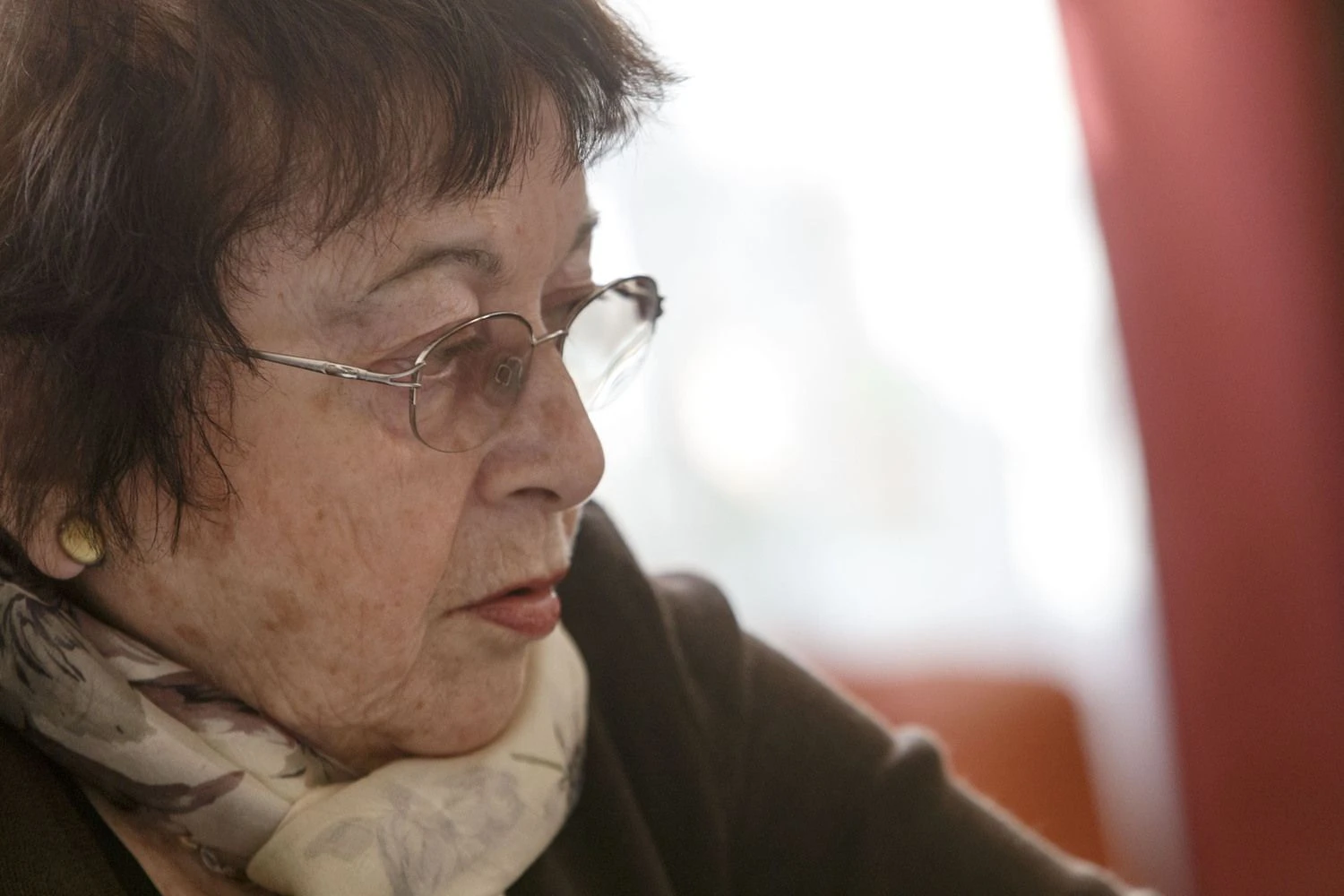 Prof. Irena Veisaitė, literatūrologė, teatrologė. Vladimiro Ivanovo (VŽ) nuotr.