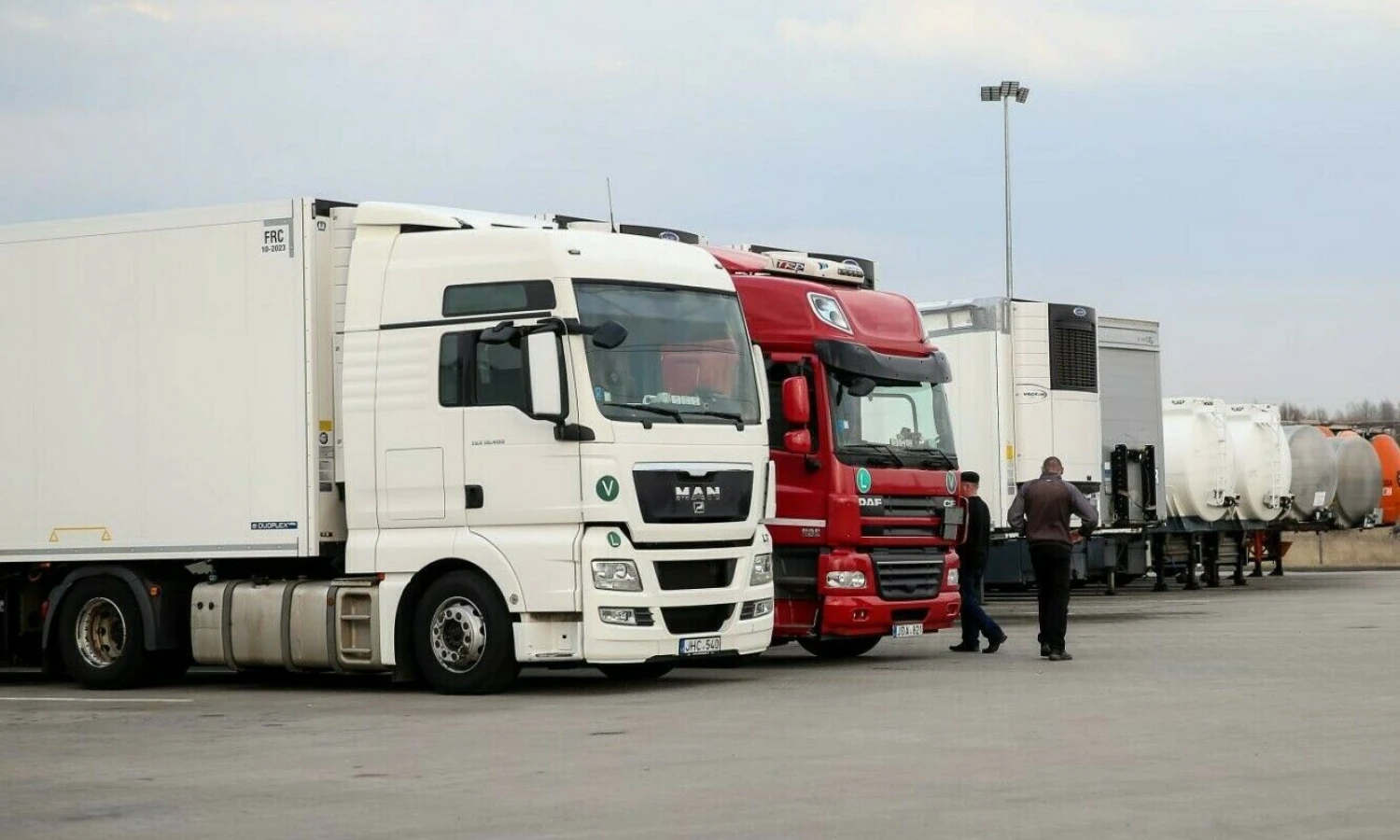 Vilkikai. Vladimiro Ivanovo (VŽ) nuotr.