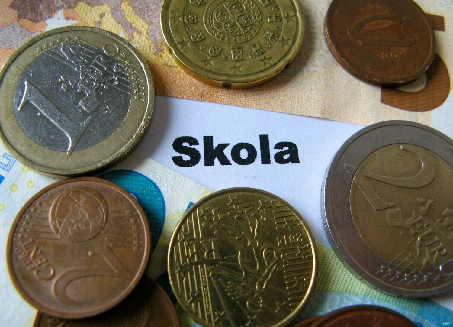 Pinigai. Juditos Grigelytės (VŽ) nuotr.