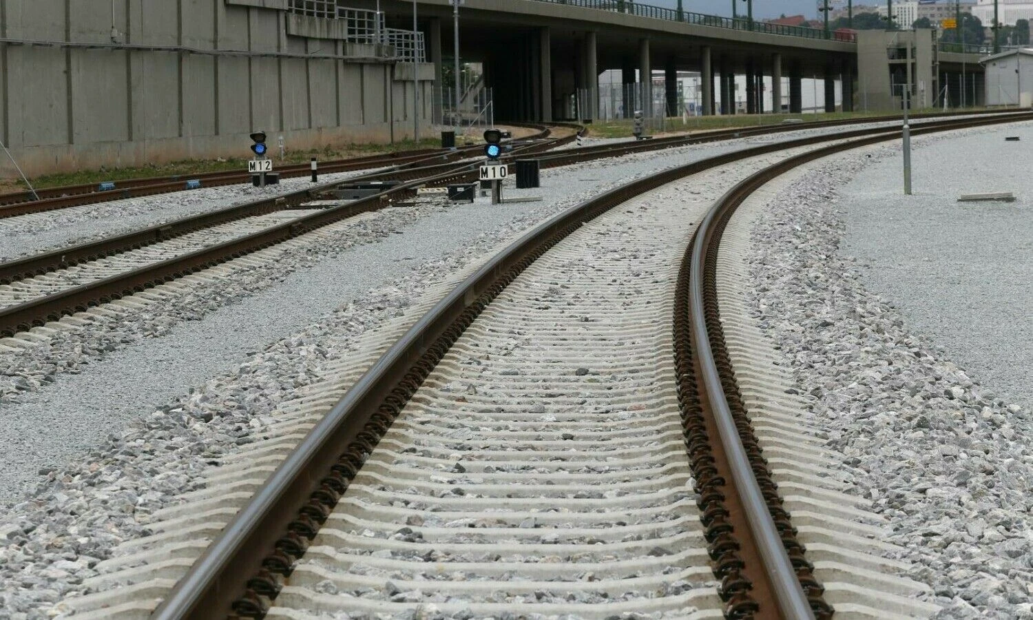 Algimanto Barzdžiaus nuotr.