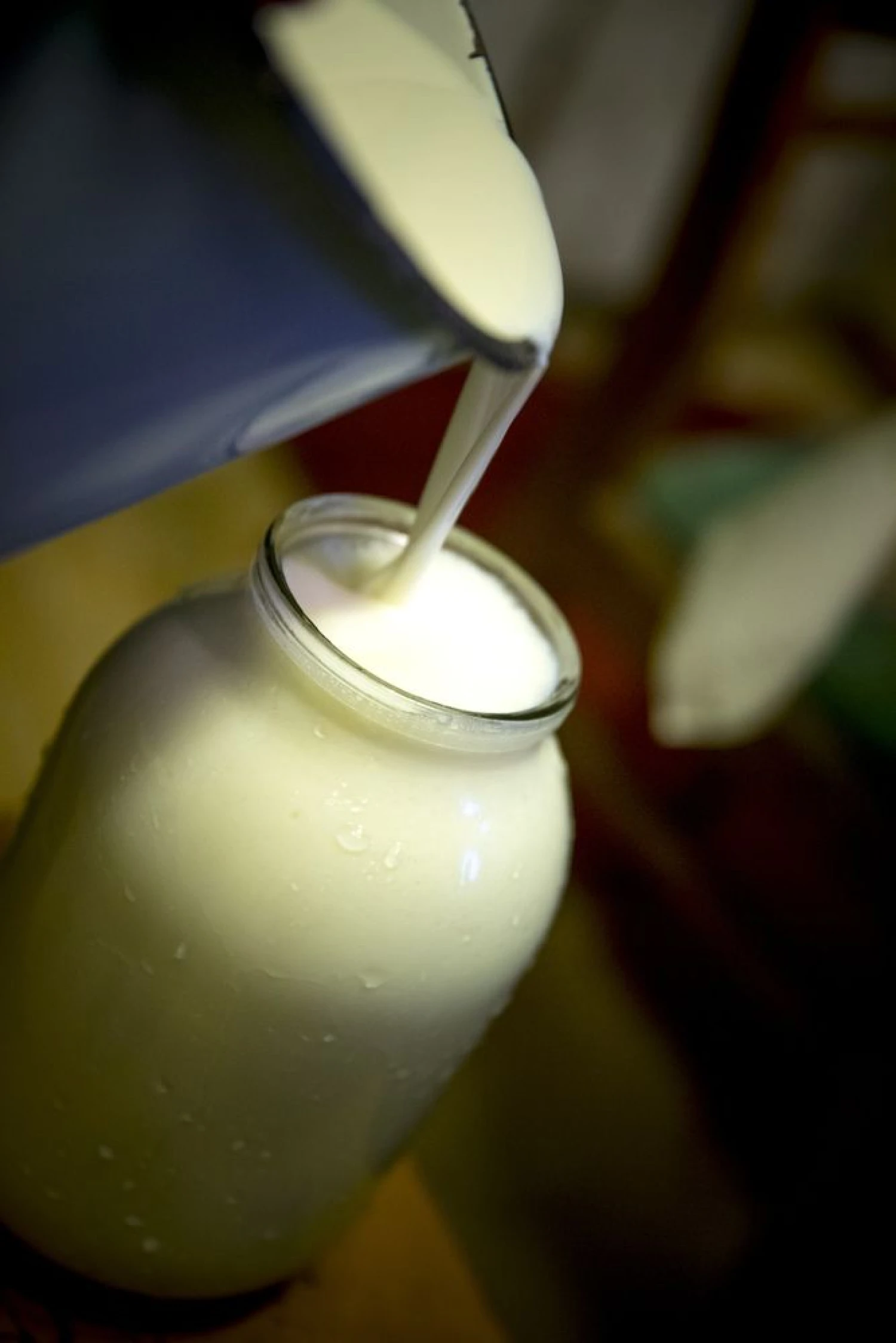 Vladimiro Ivanovo (VŽ) nuotr.