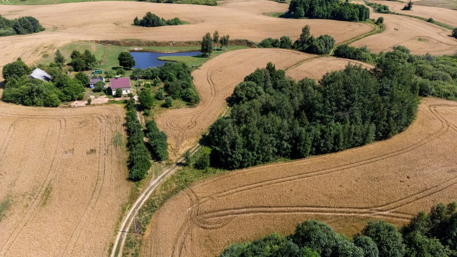 Vladimiro Ivanovo (VŽ) nuotr.