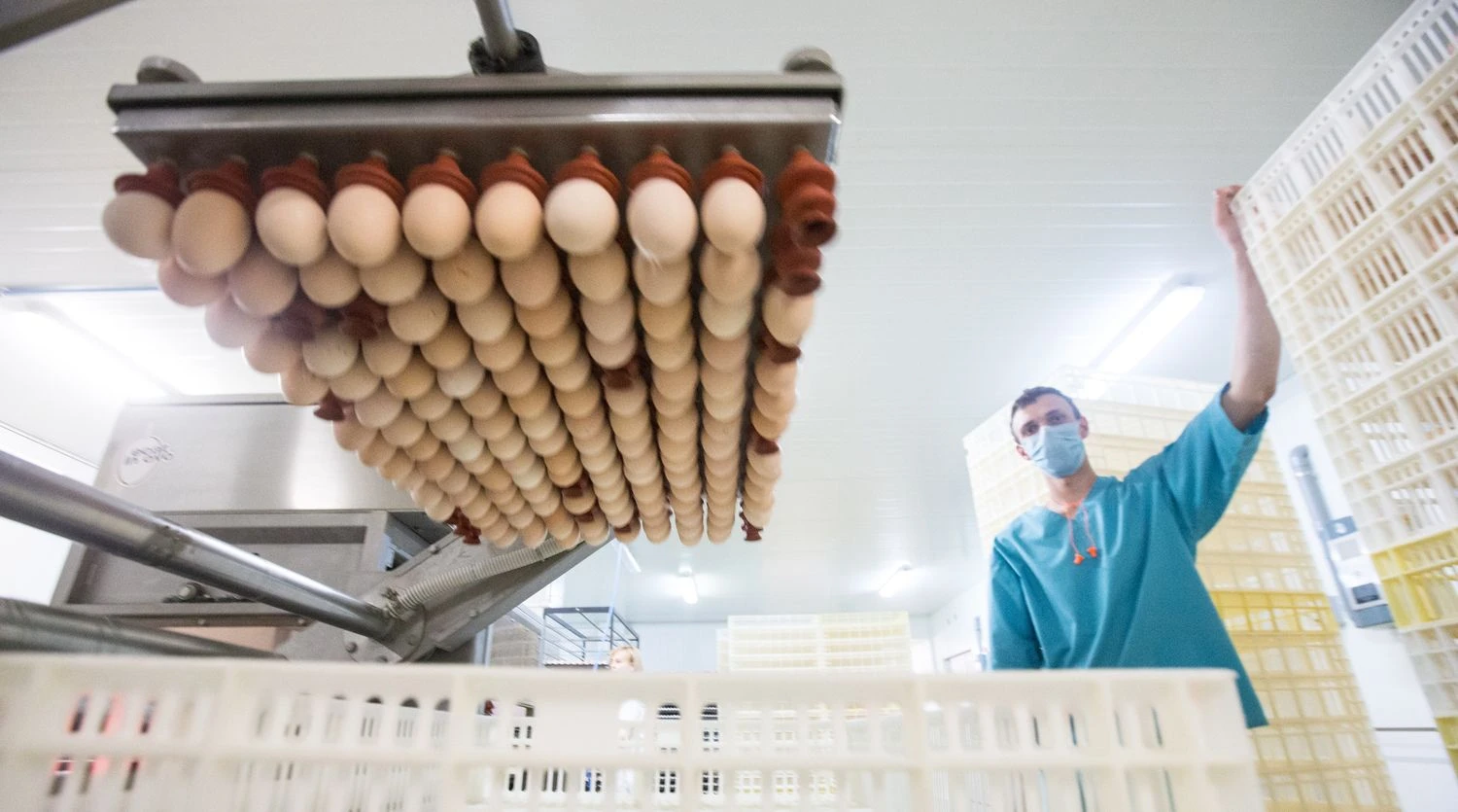 Juditos Grigelytės (VŽ) nuotr.