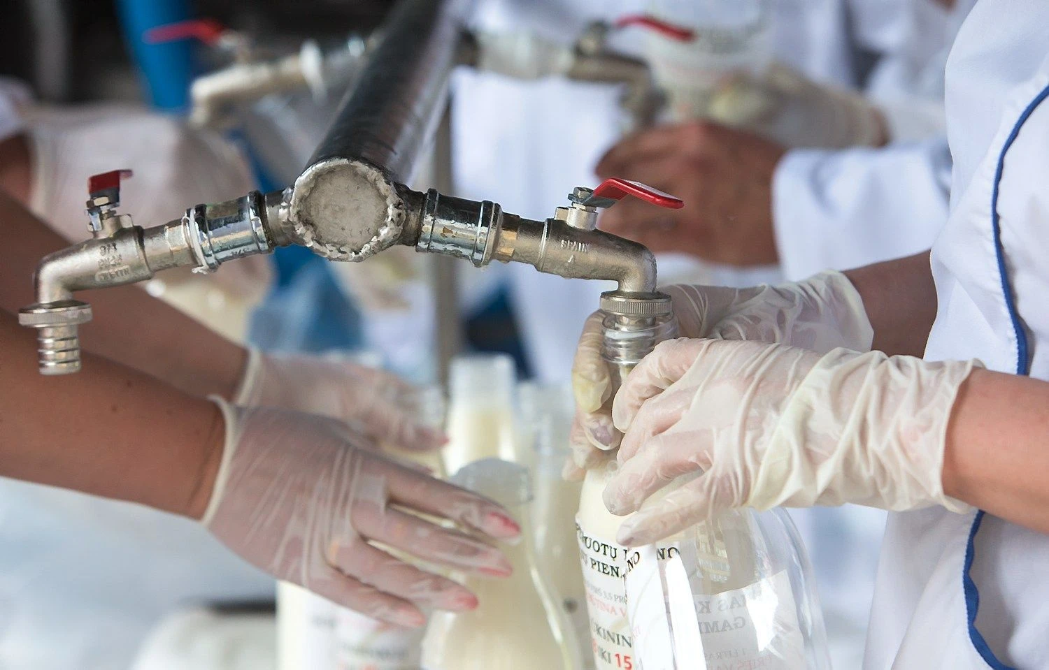 Juditos Grigelytės (VŽ) nuotr.