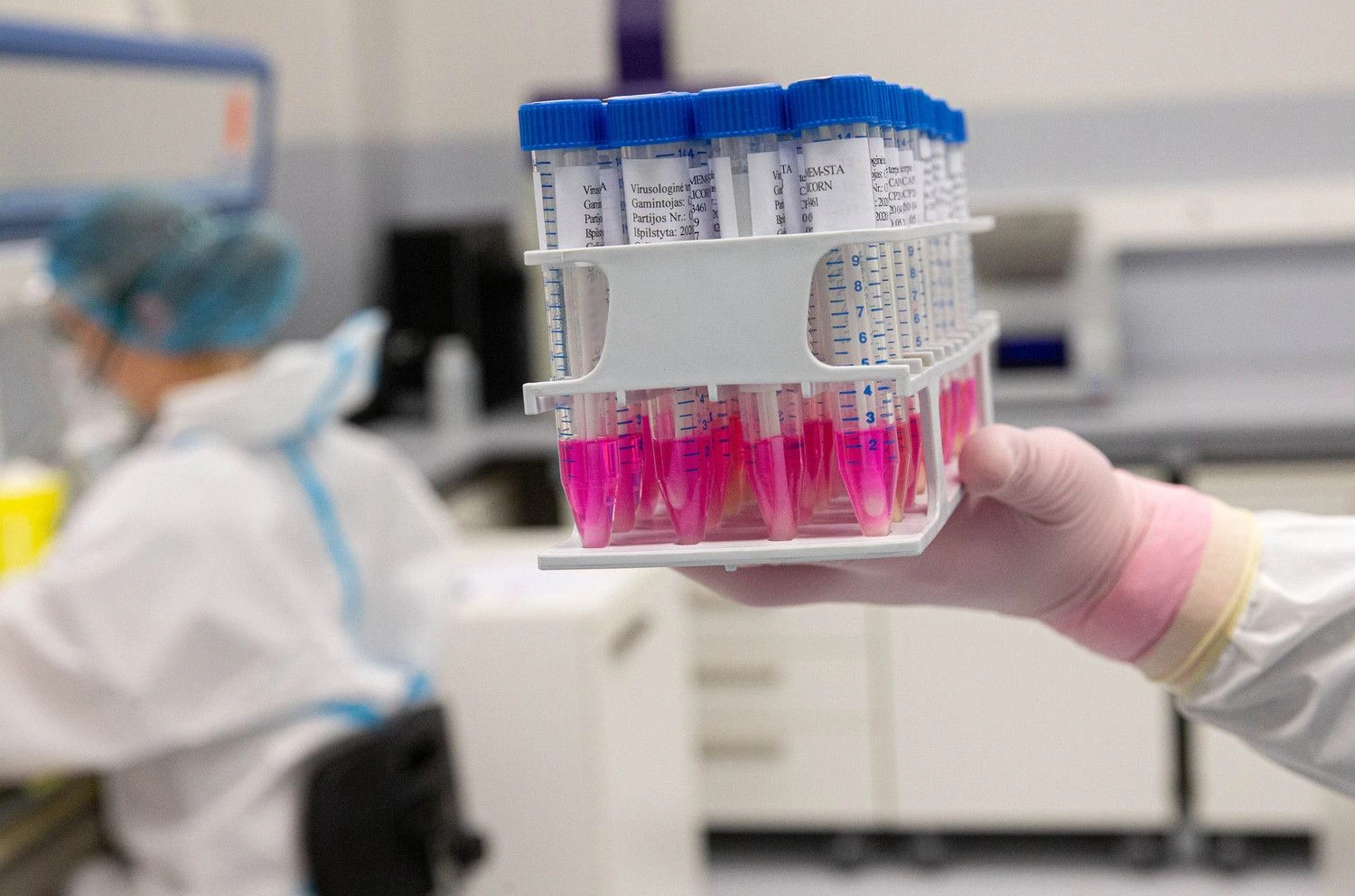 Juditos Grigelytės (VŽ) nuotr.