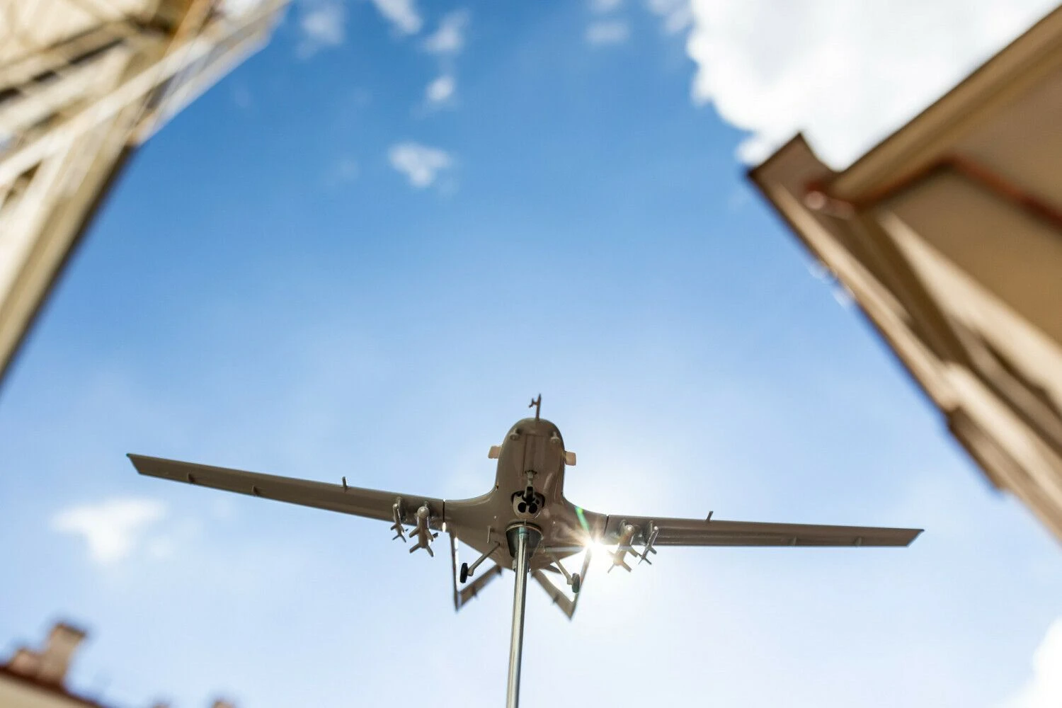 Žygimanto Gedvilos (BNS) nuotr.