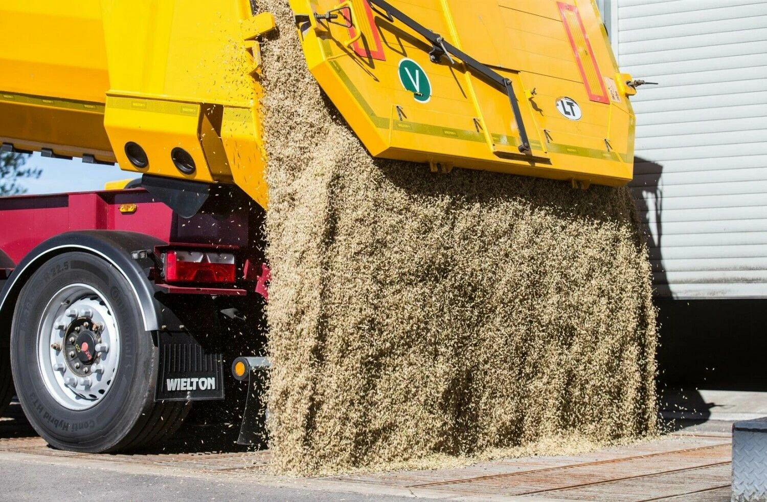 Juditos Grigelytės (VŽ) nuotr.