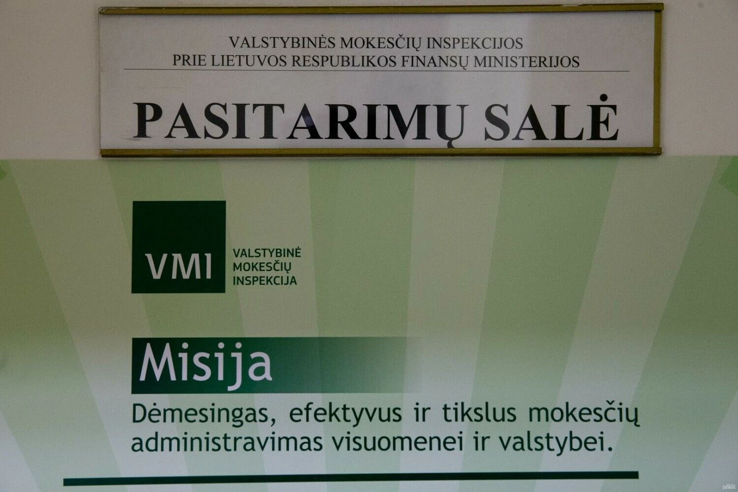 Vladimiro Ivanovo (VŽ) nuotr.
