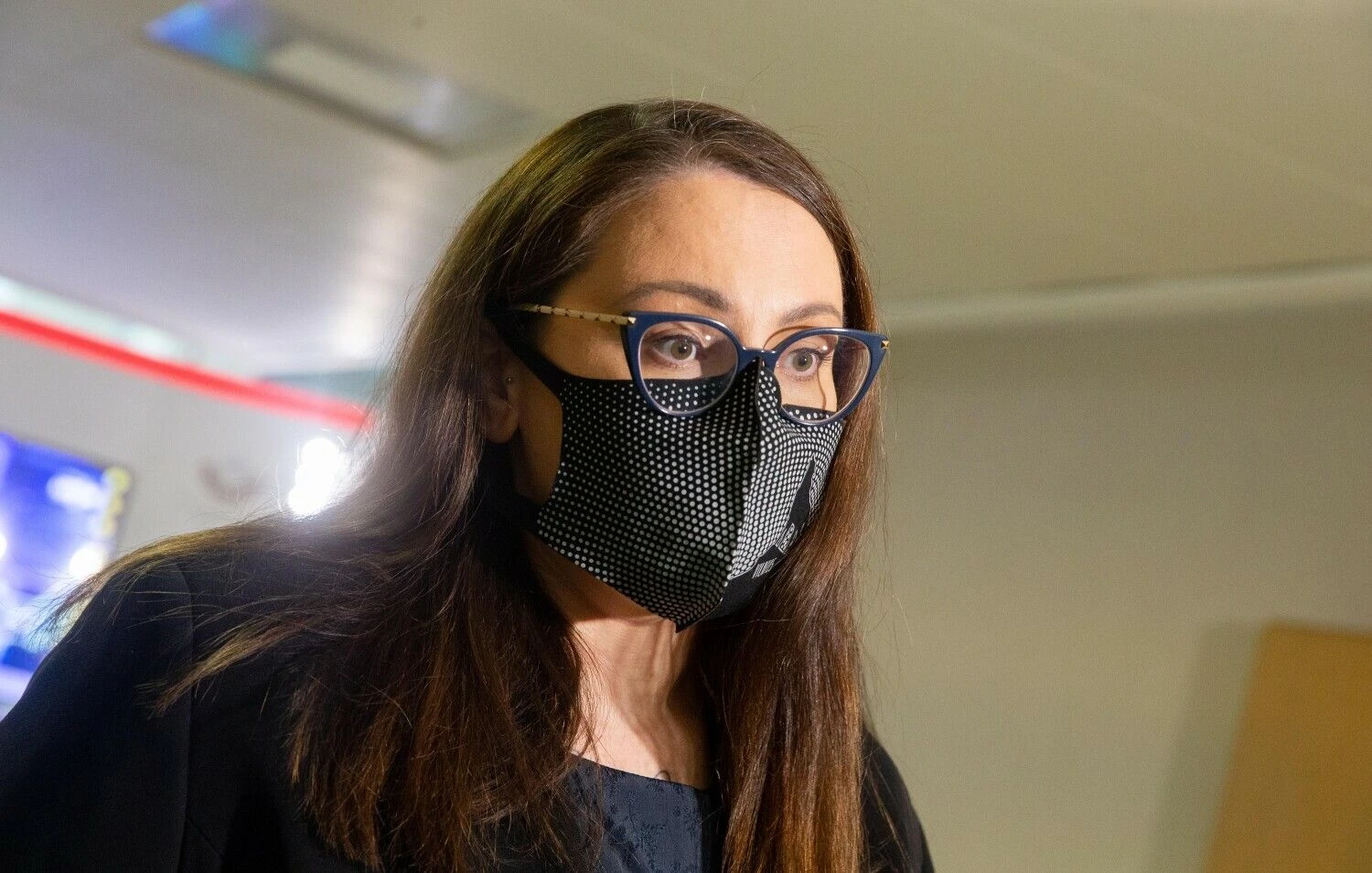 Lietuvos teisingumo ministrė E. Dobrovolska. Juditos Grigelytės (VŽ) nuotr.