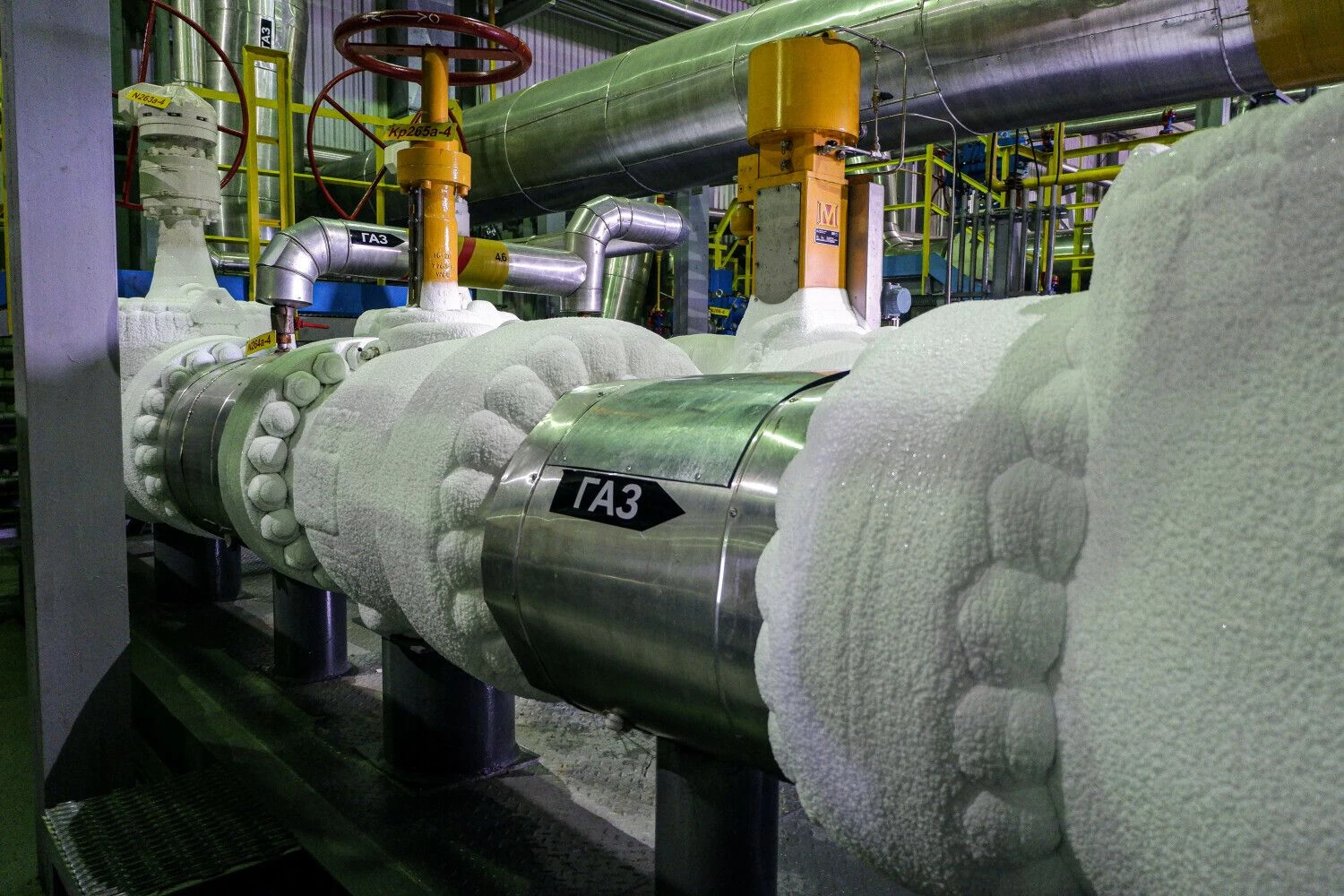 Naglio Navako (VŽ) nuotr.