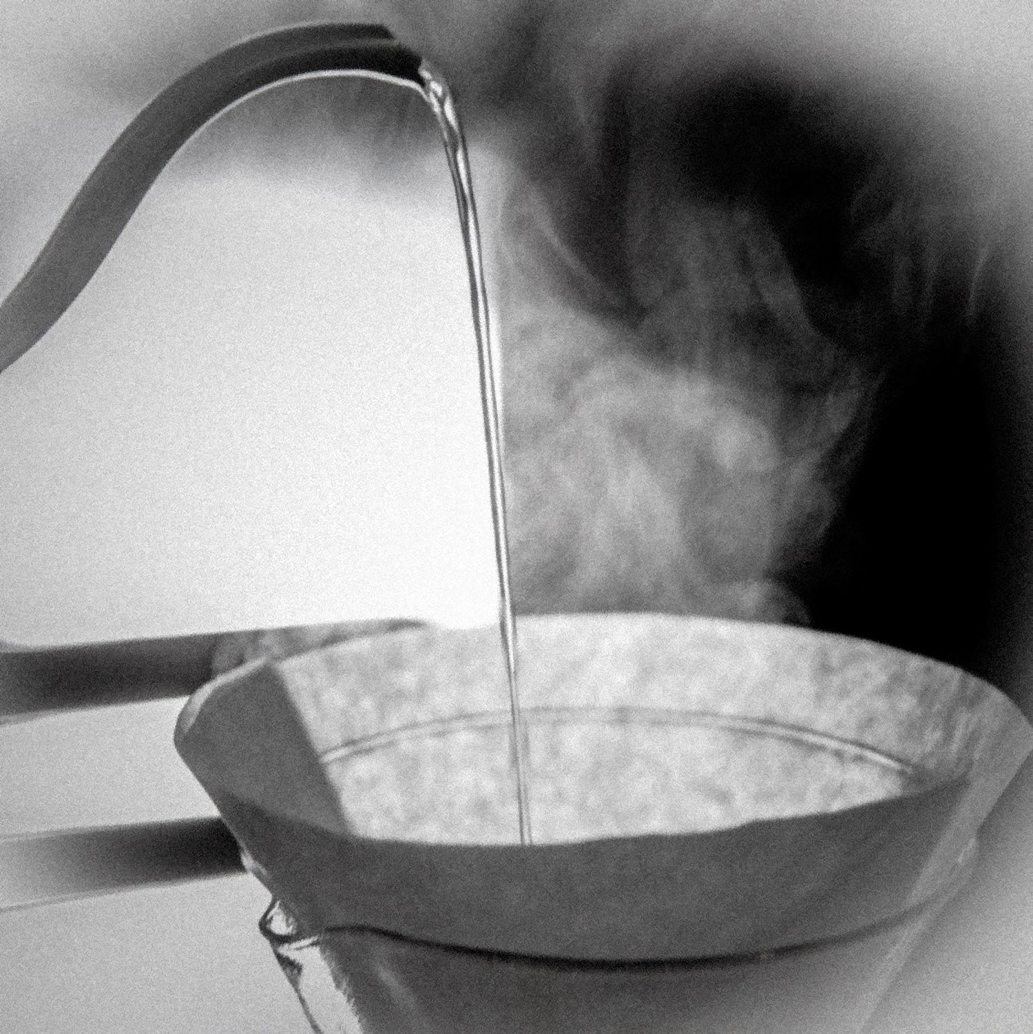 Vladimiro Ivanovo (VŽ) nuotr.