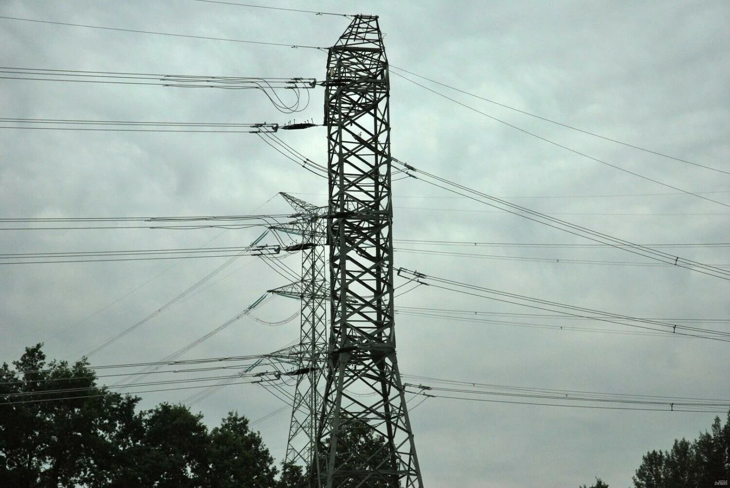 Naglio Navako (VŽ) nuotr.