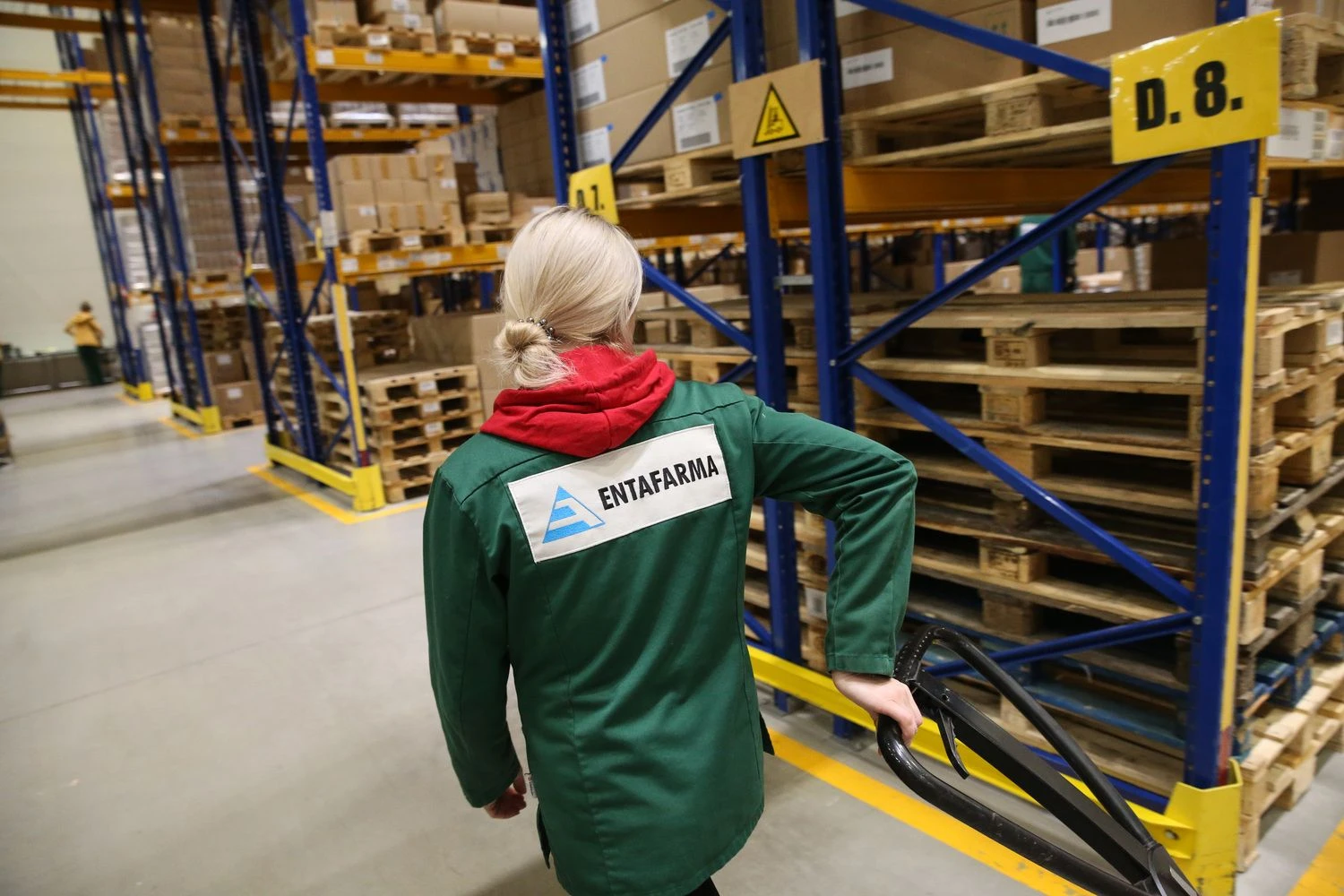 Vladimiro Ivanovo (VŽ) nuotr.