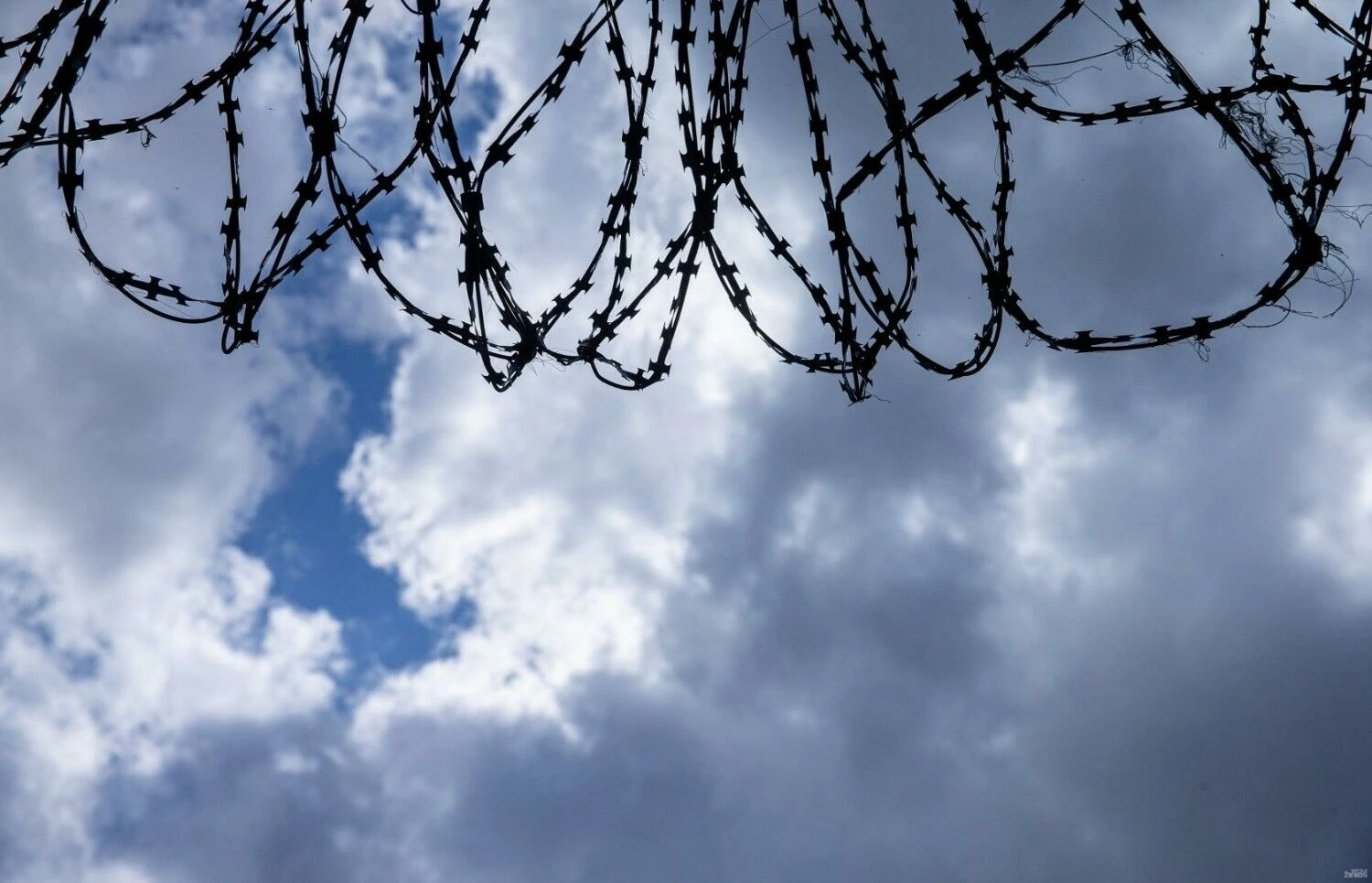 Juditos Grigelytės (VŽ) nuotr.