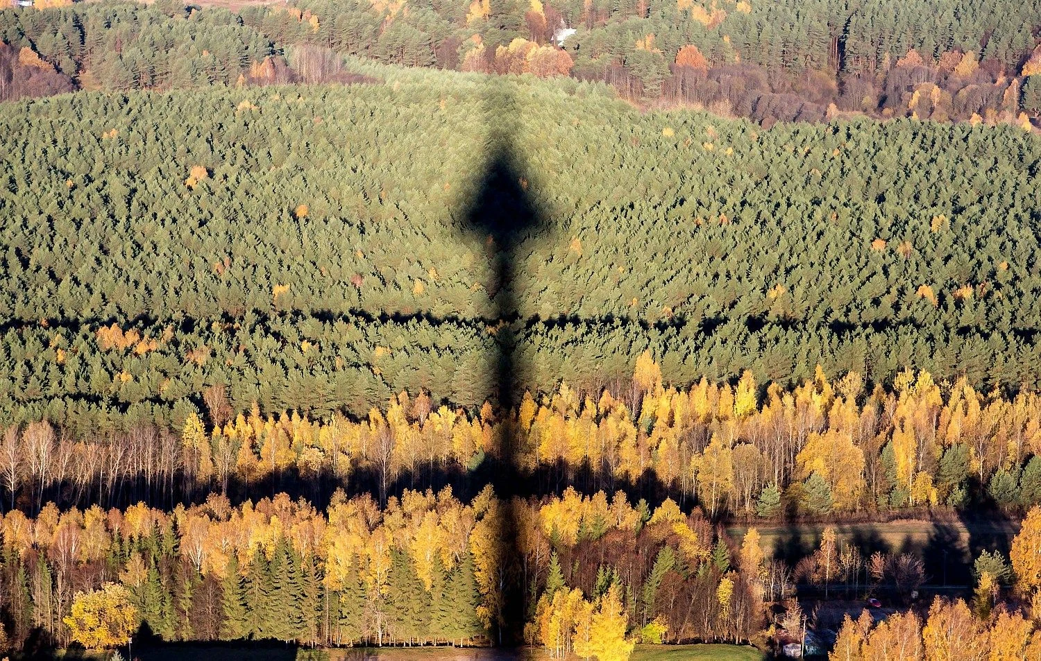 Juditos Grigelytės (VŽ) nuotr.