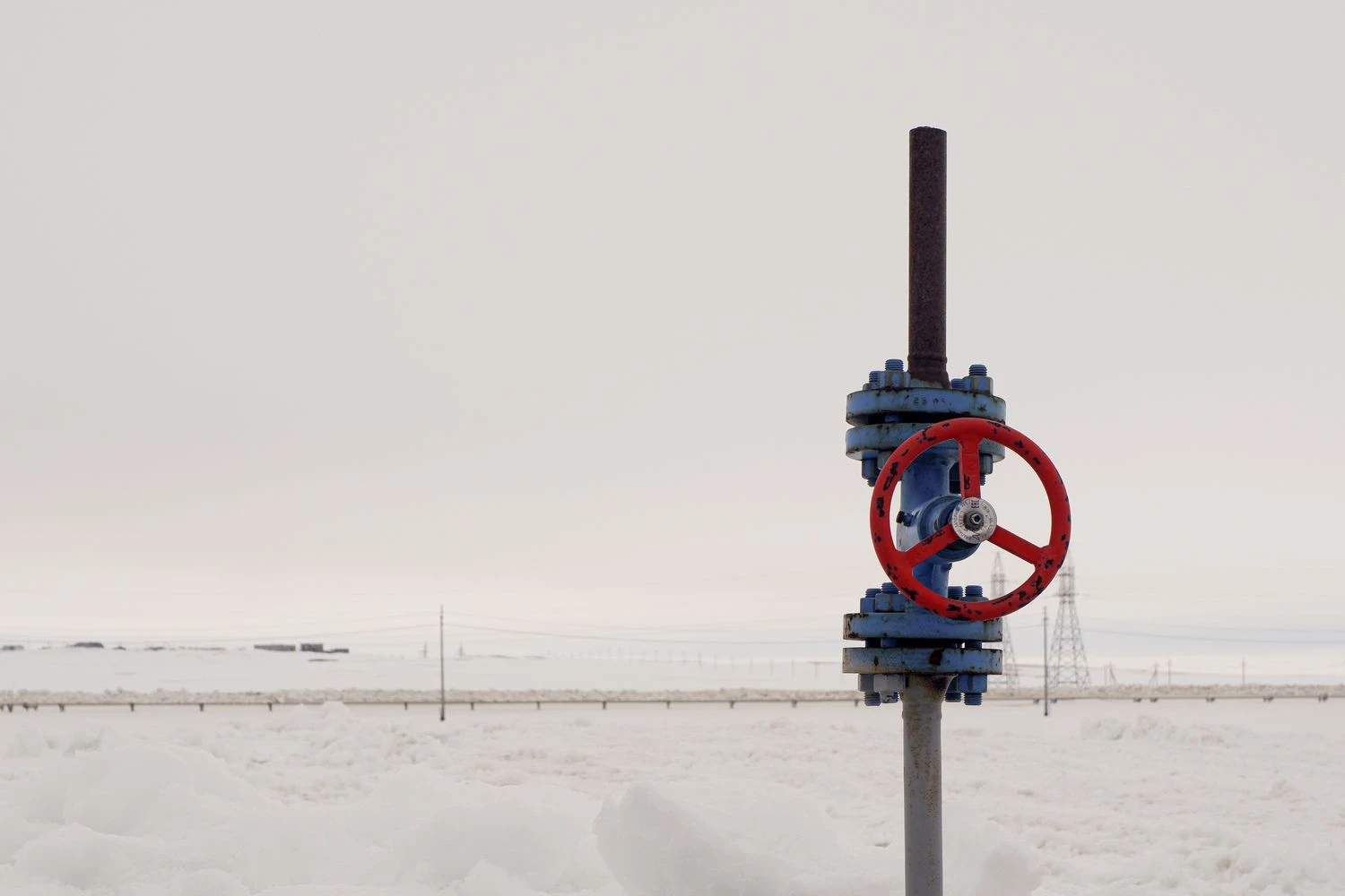 Naglio Navako (VŽ) nuotr.