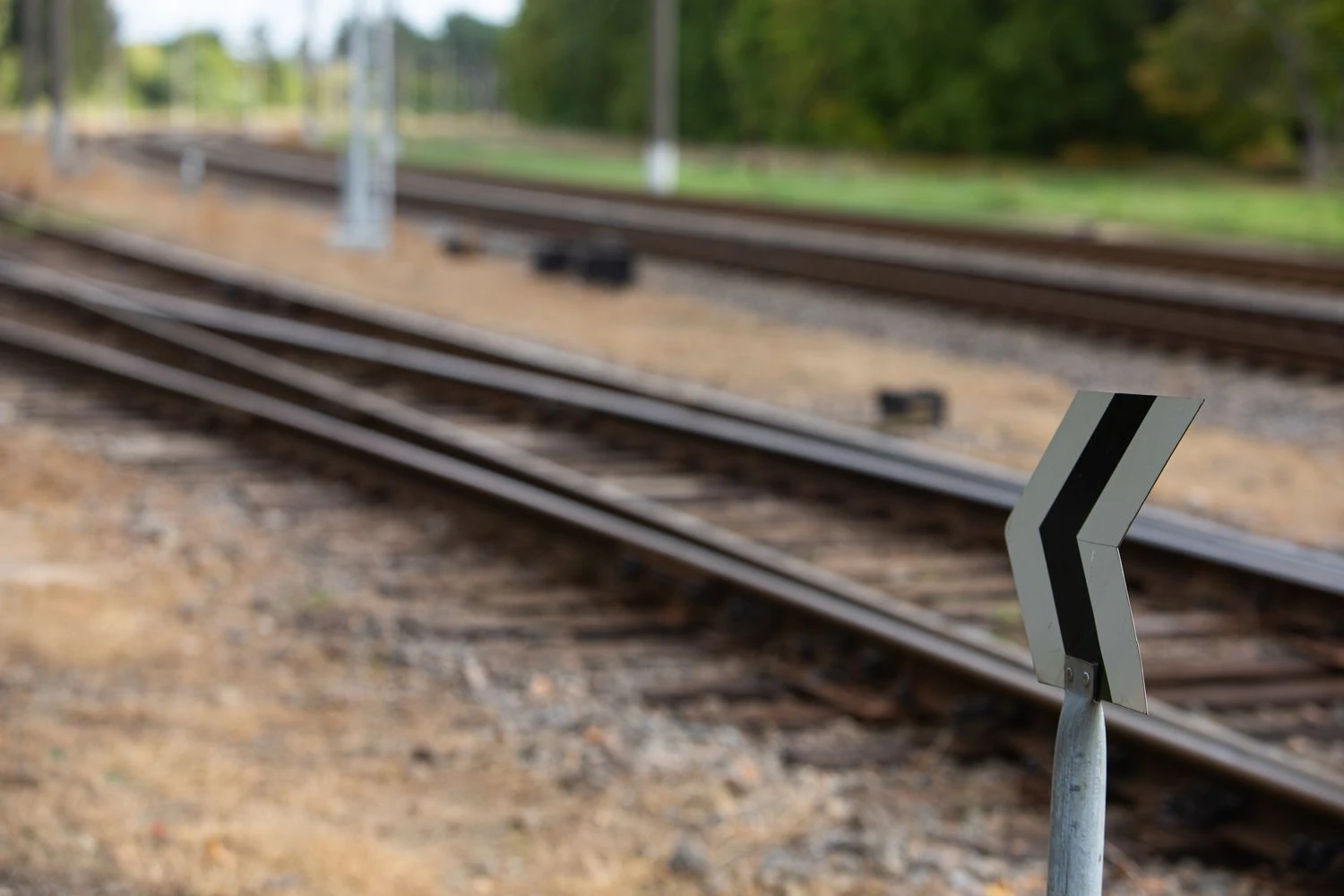 Vladimiro Ivanovo (VŽ) nuotr.