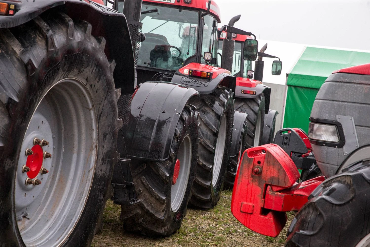 Juditos Grigelytės (VŽ) nuotr.