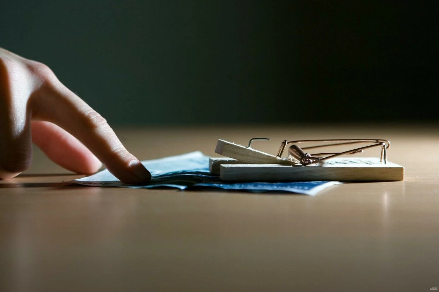 Juditos Grigelytės (VŽ) nuotr.