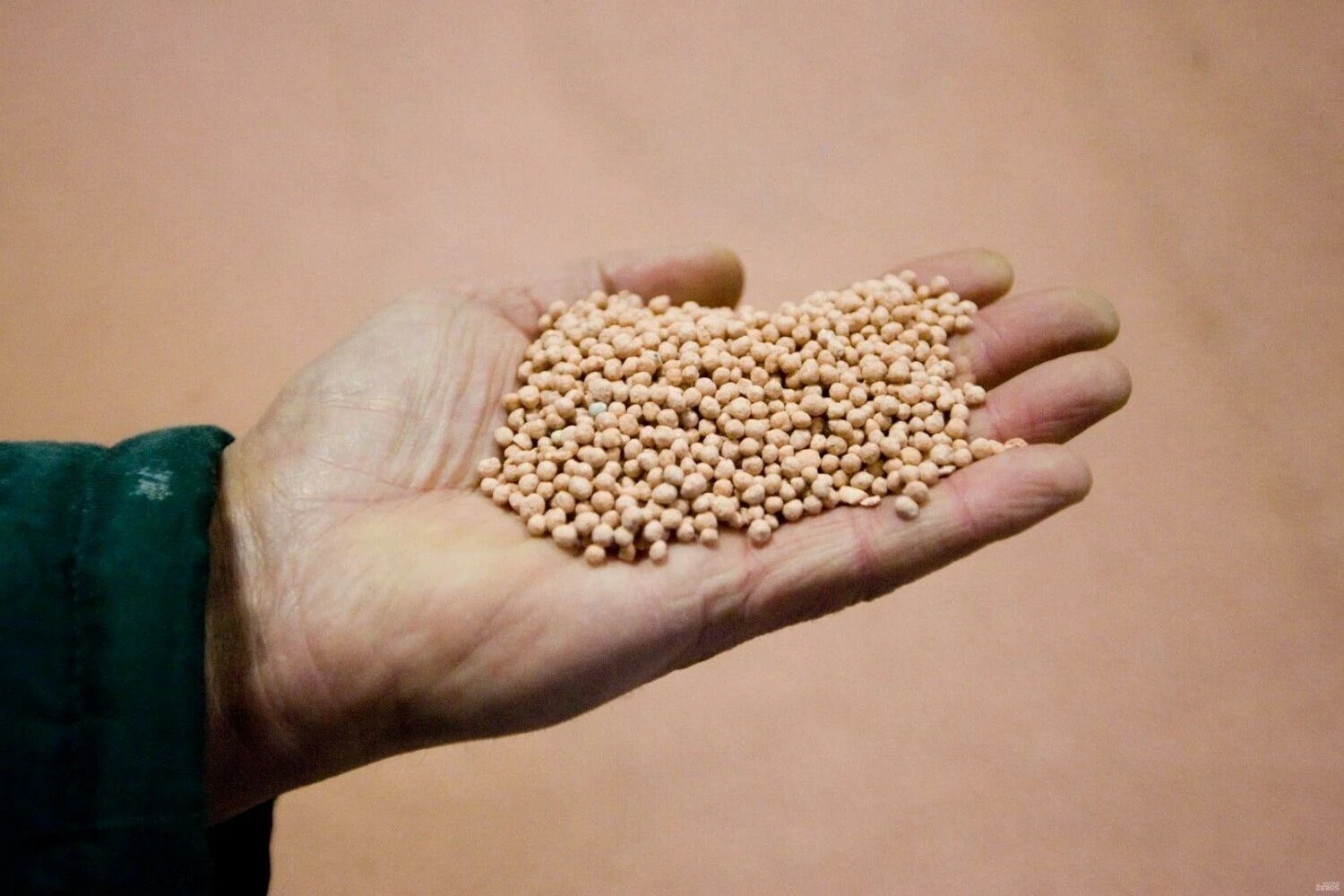 Vladimiro Ivanovo (VŽ) nuotr.