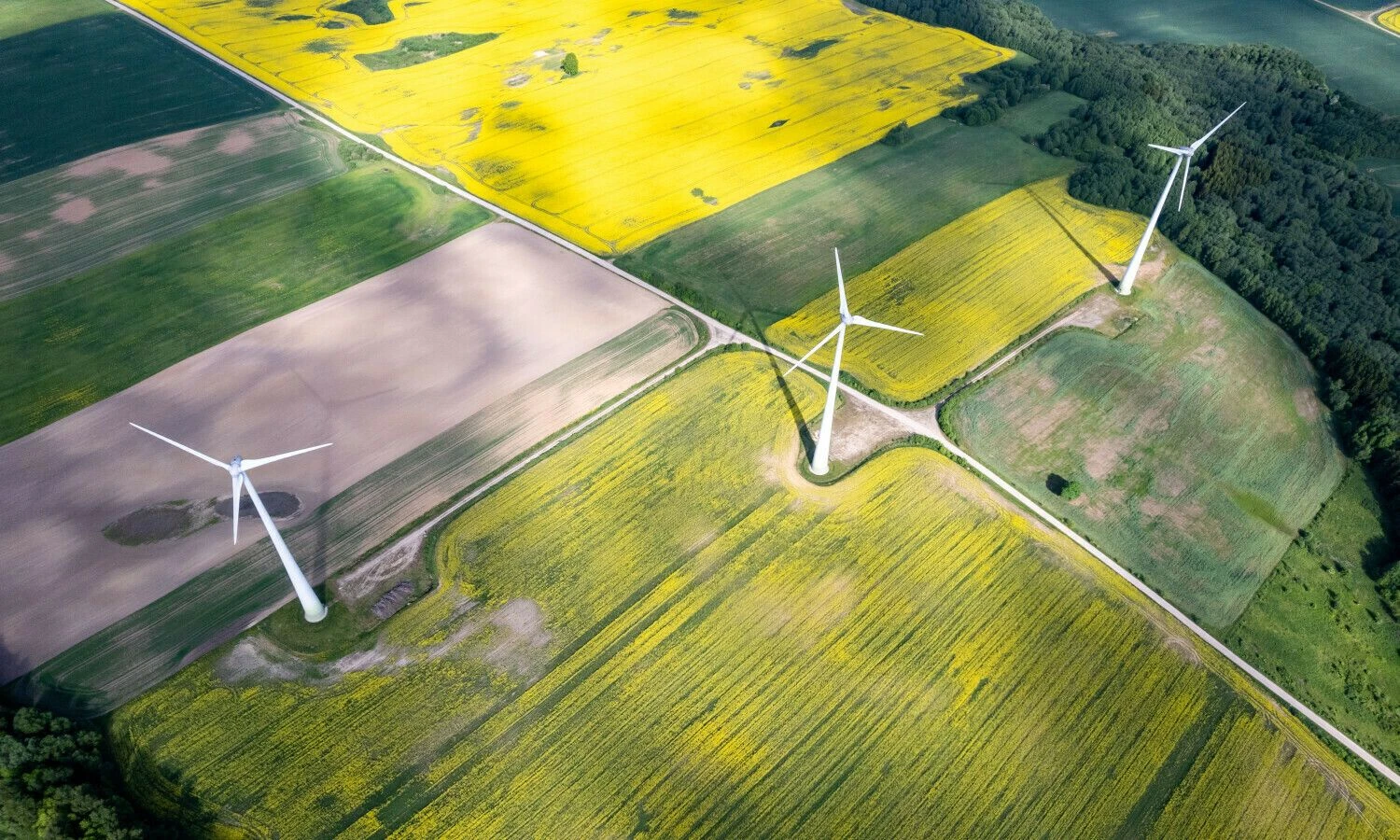 Galiausiai laimės verslai, kurie nuosekliai investavo į žalią energiją ar energijos taupymo sprendimus, įsitikinęs H. Nausėda.
