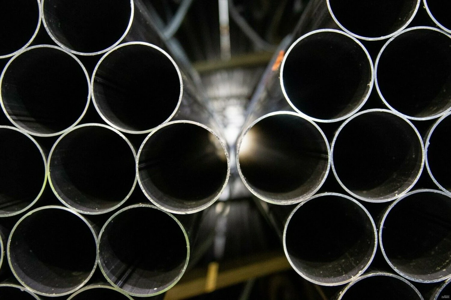 Vladimiro Ivanovo (VŽ) nuotr.