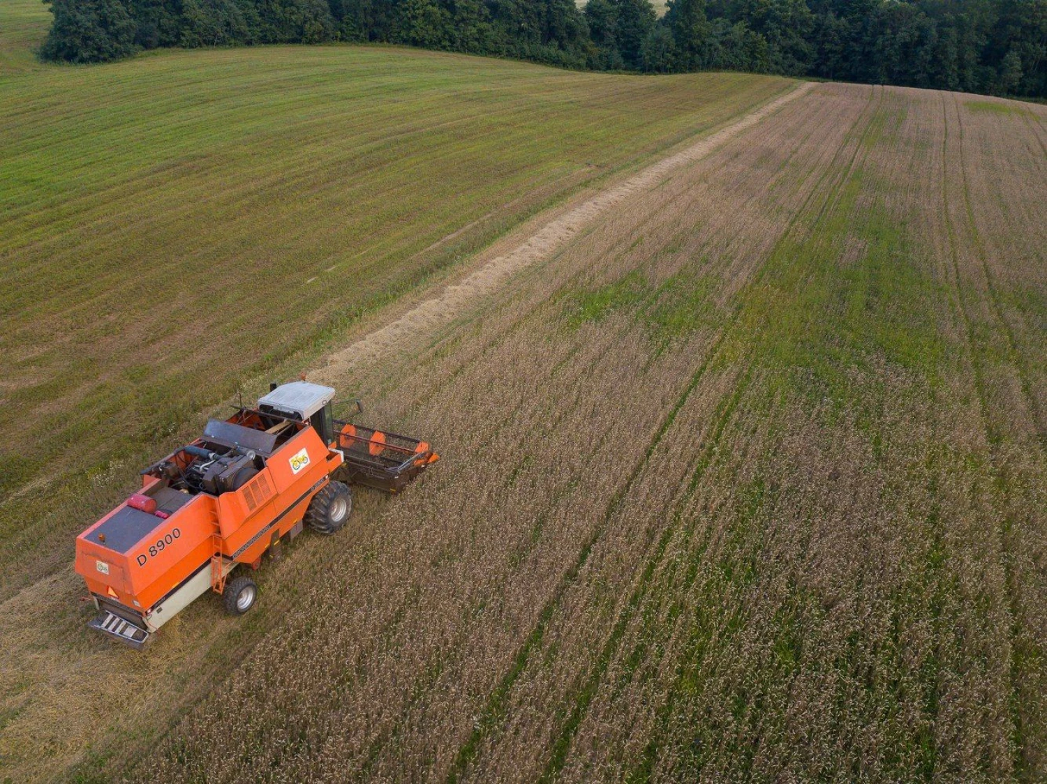 Vladimiro Ivanovo (VŽ) nuotr.