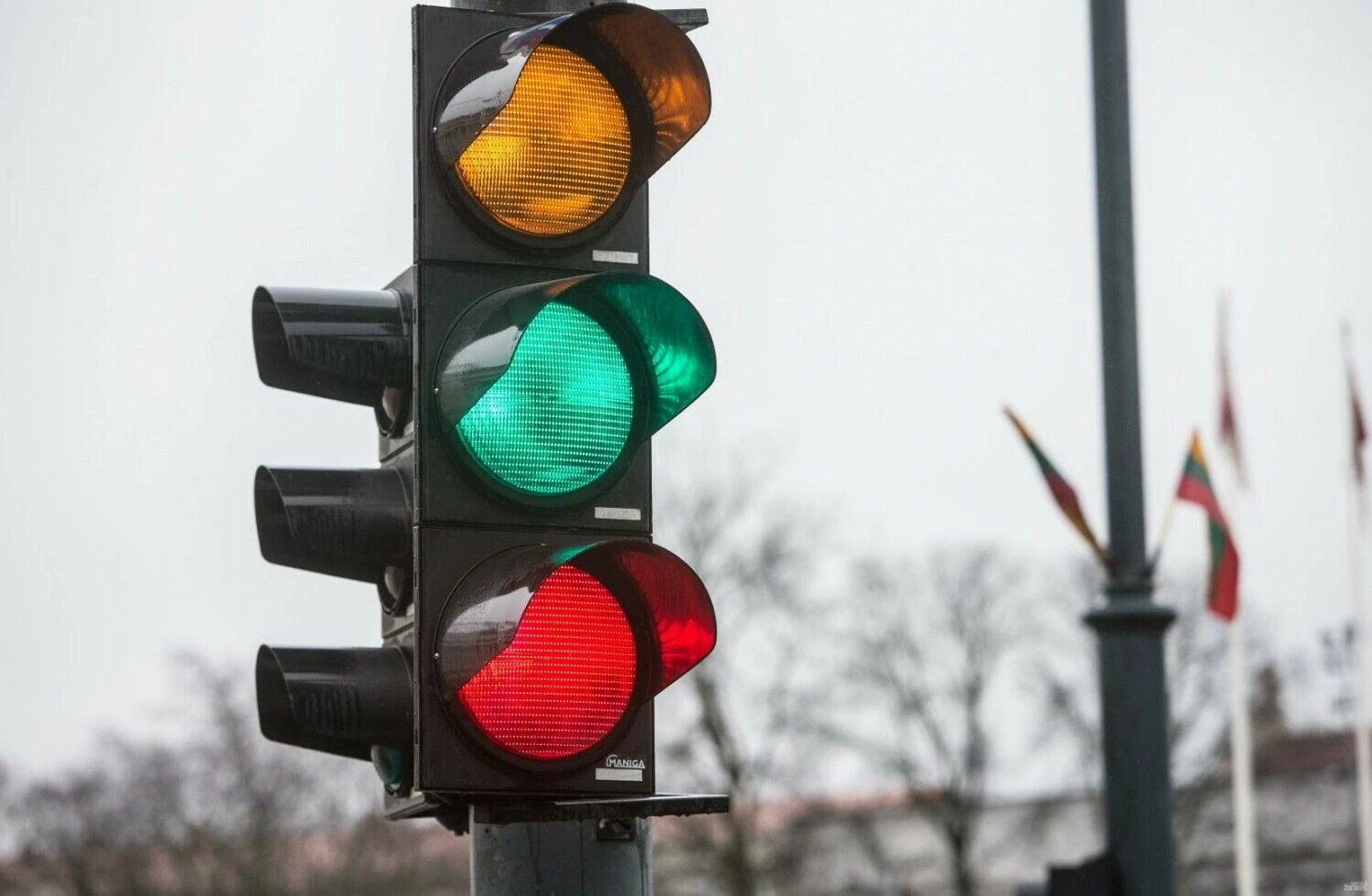 Juditos Grigelytės (VŽ) nuotr.