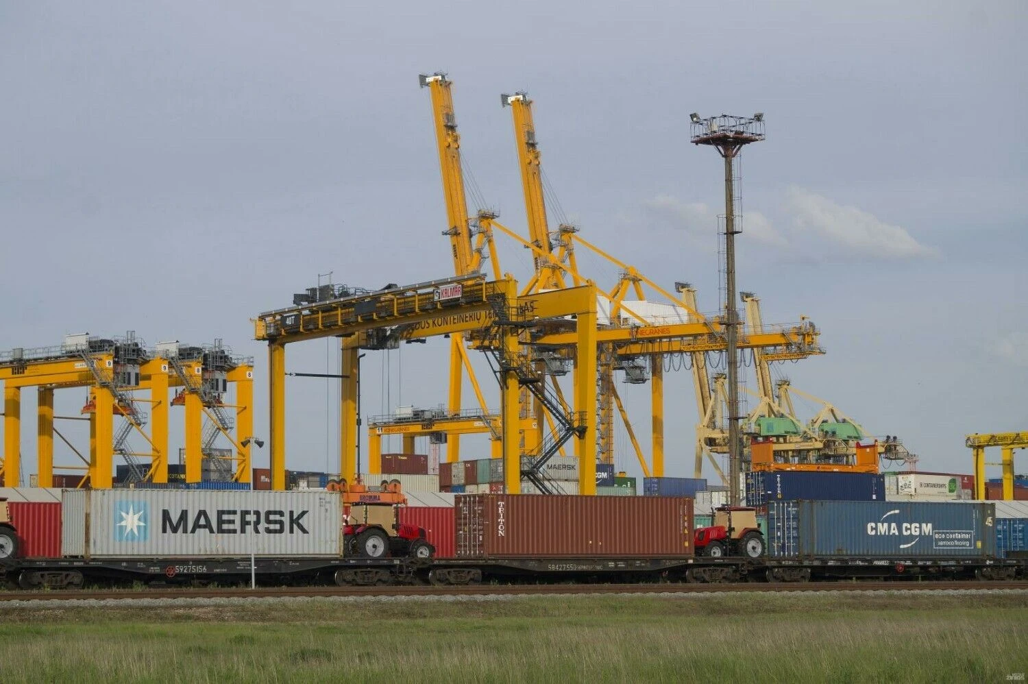 Algimanto Kalvaičio nuotr.