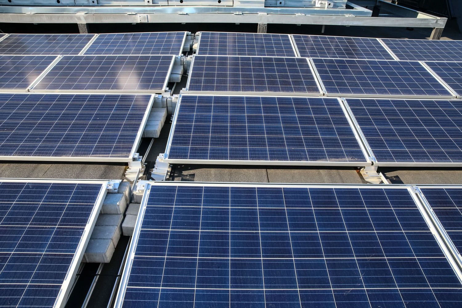 Vladimiro Ivanovo (VŽ) nuotr.