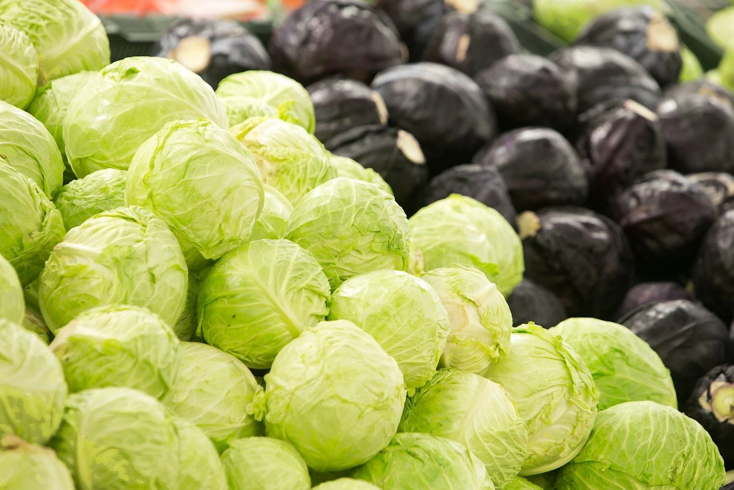 Daržovių kainos labiausiai priklauso nuo derliaus kiekio.
Juditos Grigelytės (vž) nuotr.