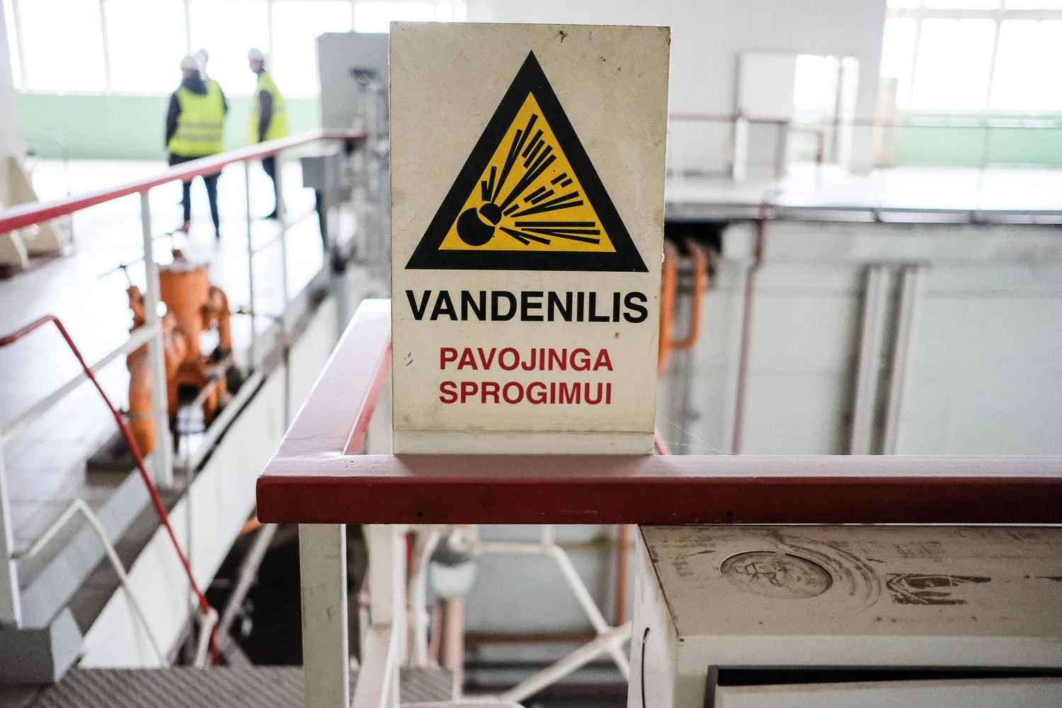 Vladimiro Ivanovo (VŽ) nuotr.