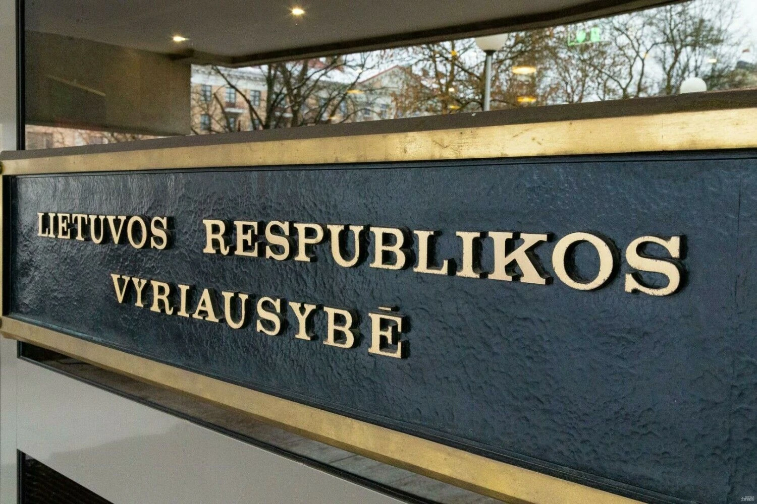 Vladimiro Ivanovo (VŽ) nuotr.