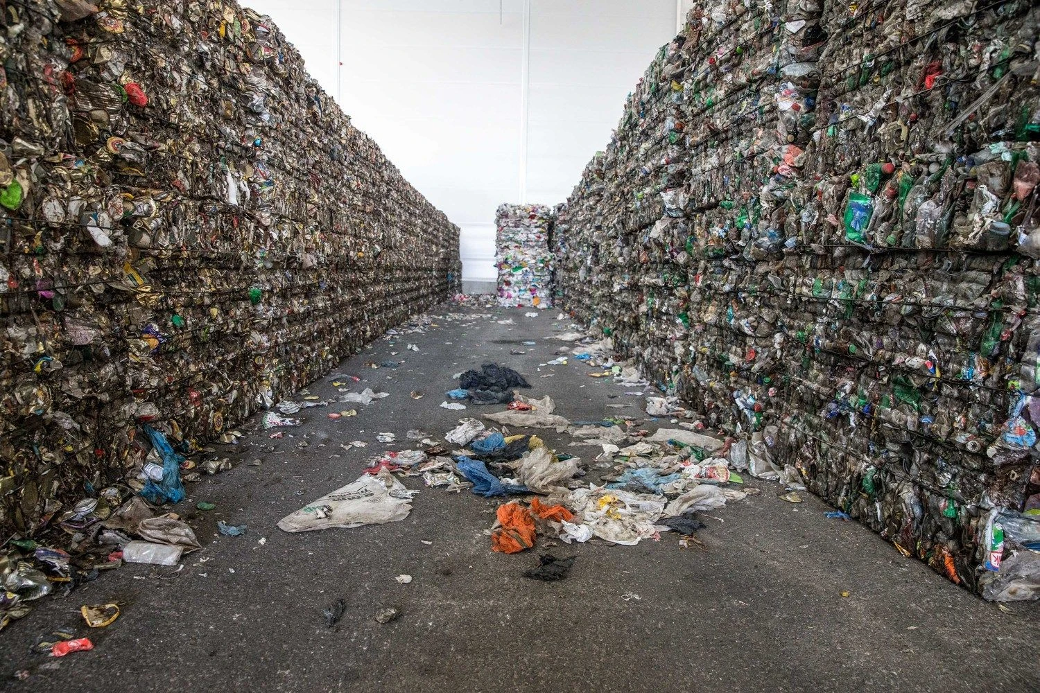 Juditos Grigelytės (VŽ) nuotr.