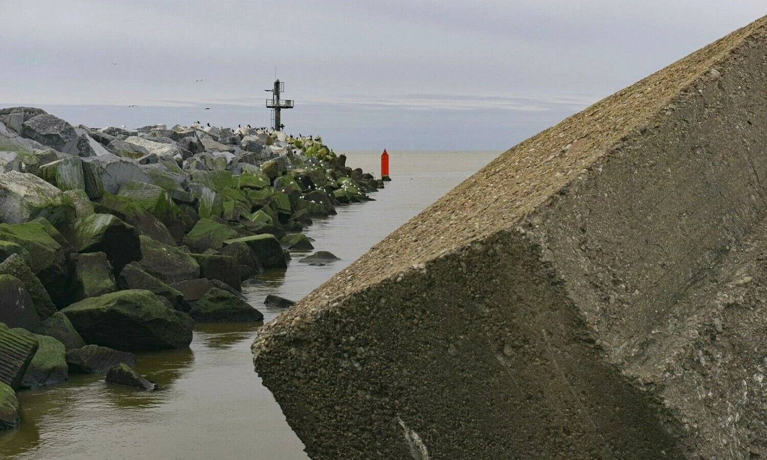 Klaipėda, uostas. Algimanto Kalvaičio nuotr.