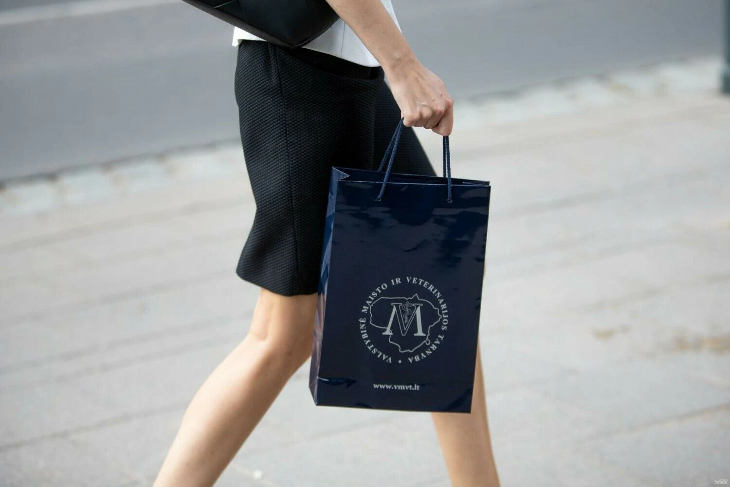 Vladimiro Ivanovo (VŽ) nuotr.