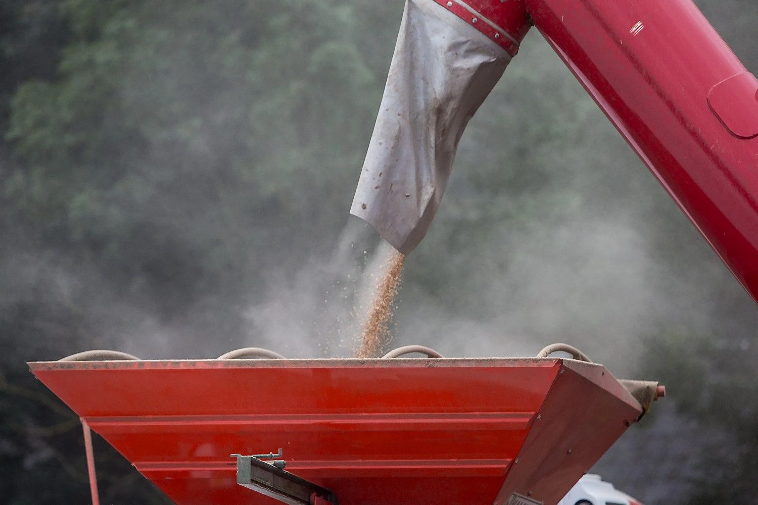 Juditos Grigelytės (VŽ) nuotr.