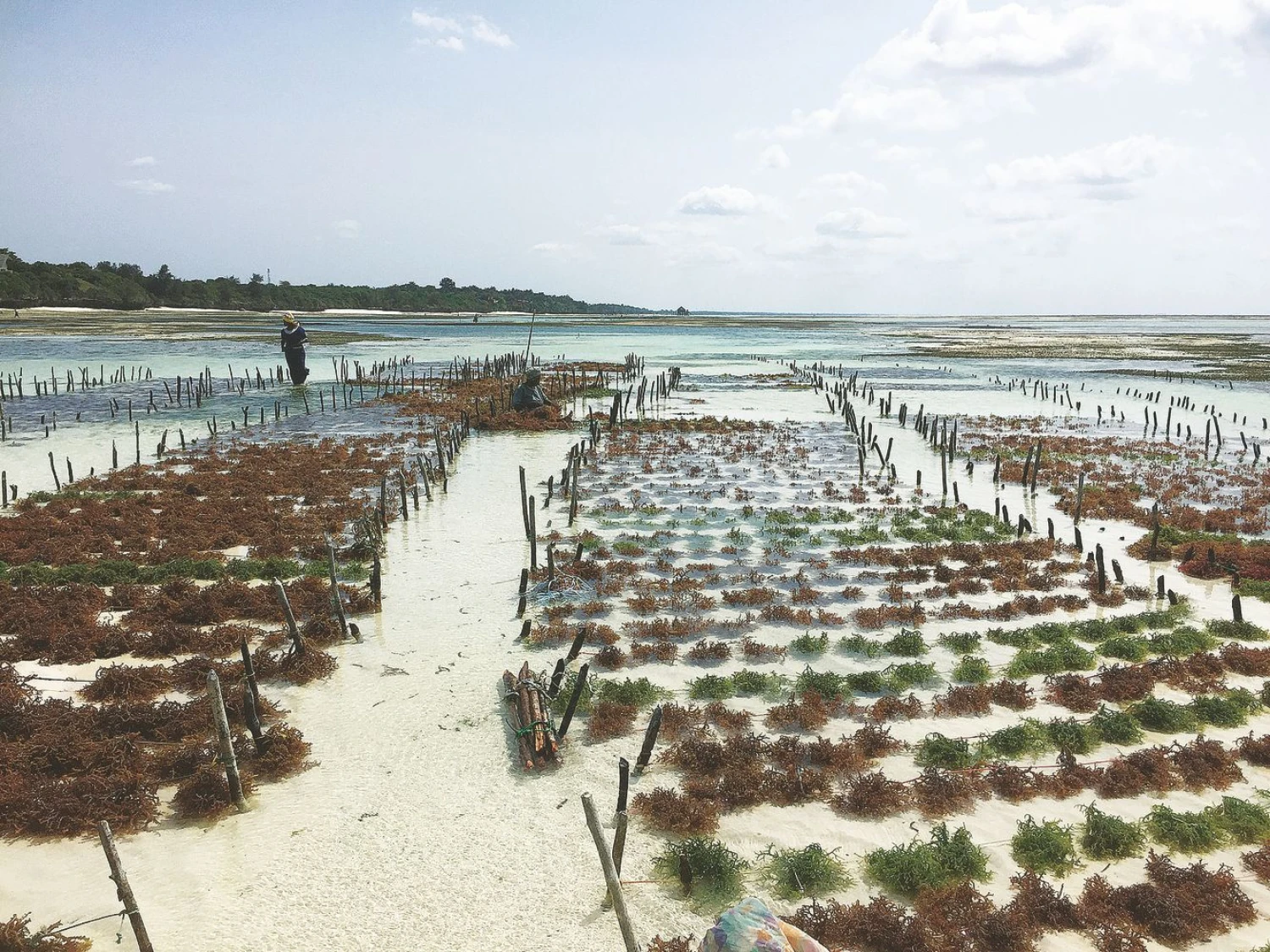 Alister Doyle („Reuters“ / „Scanpix“) nuotrauka