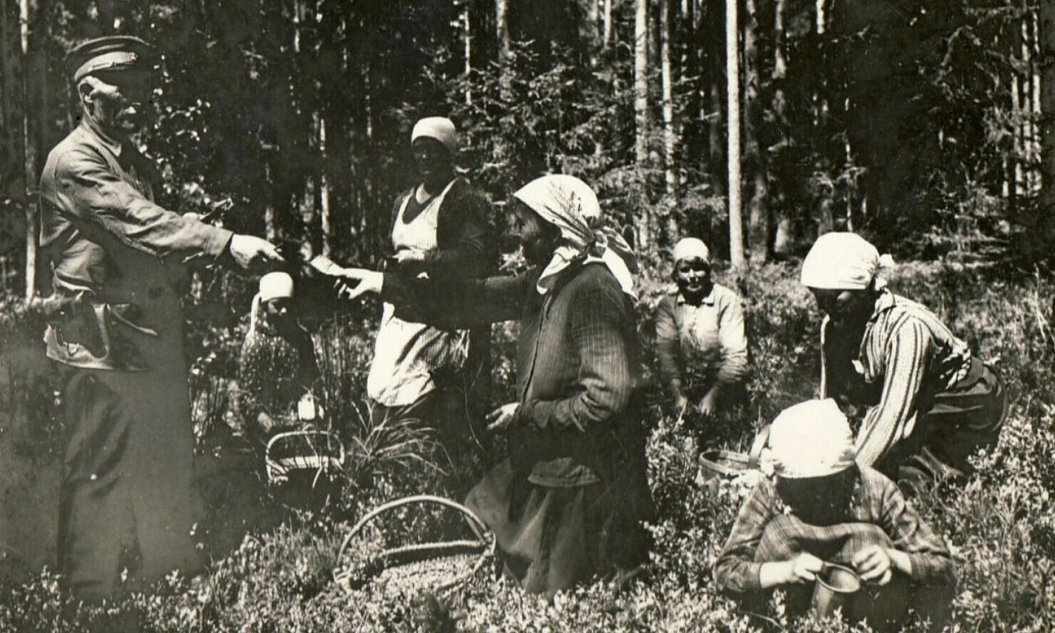 Uogautojos Bigailių miške (Subačiaus vlsč., Panevėžio apskr.) susimoka mokestį girininkui. XX a. 3–4 deš. Povilo Šinskio / Panevėžio kraštotyros muziejaus nuotr.